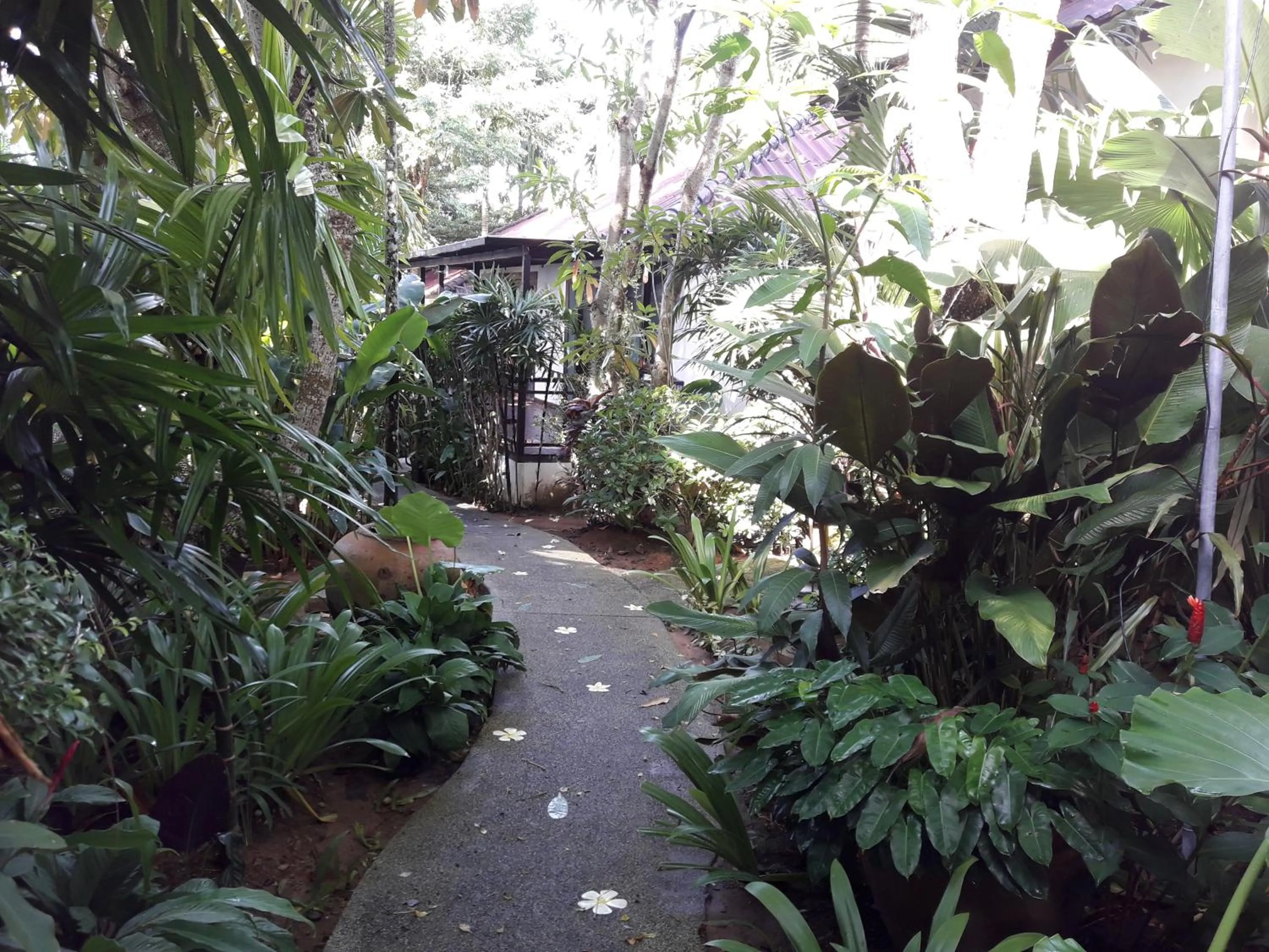 Garden in Cocoville Phuket - SHA Plus