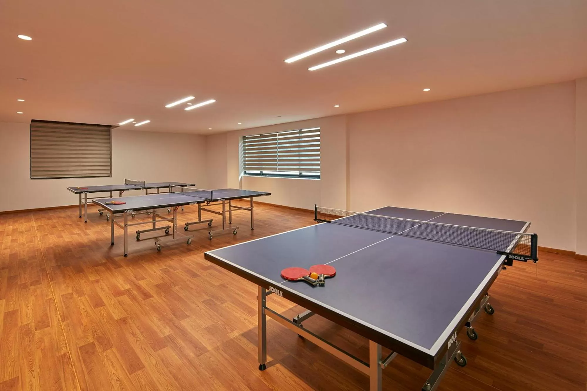 Table tennis in Signature Club Resort