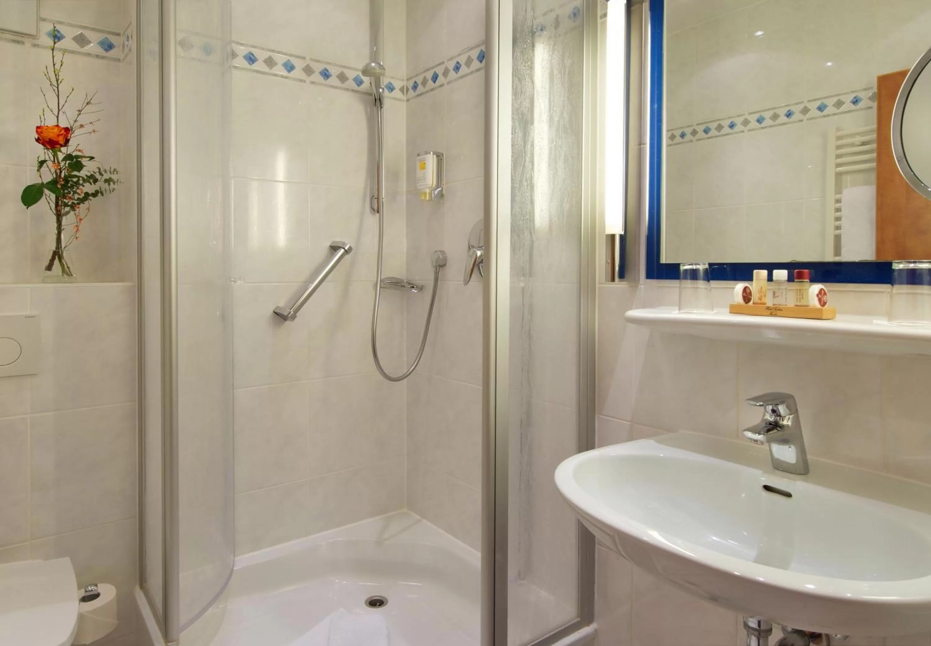 Shower in Hotel Torbräu