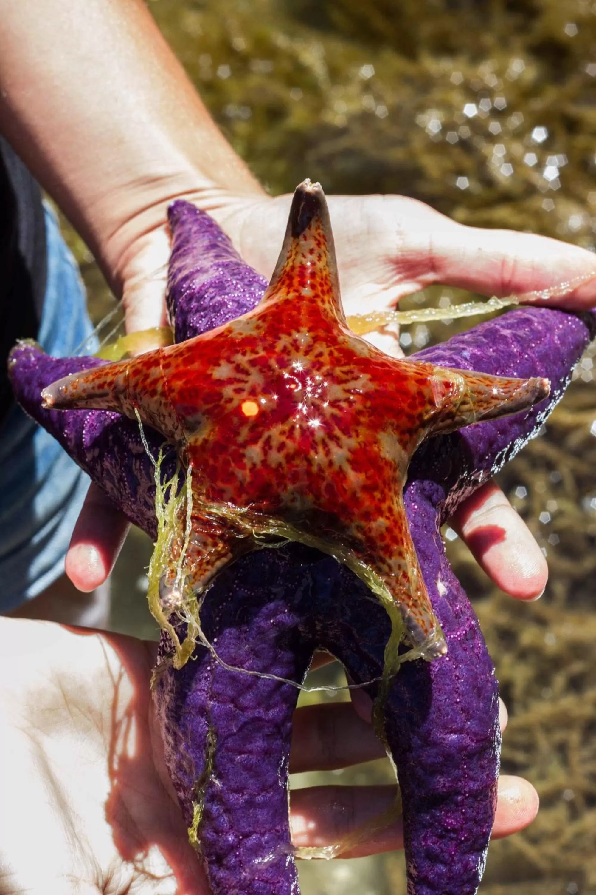 View (from property/room), Other Animals in Tranquility Bay Waterfront Inn