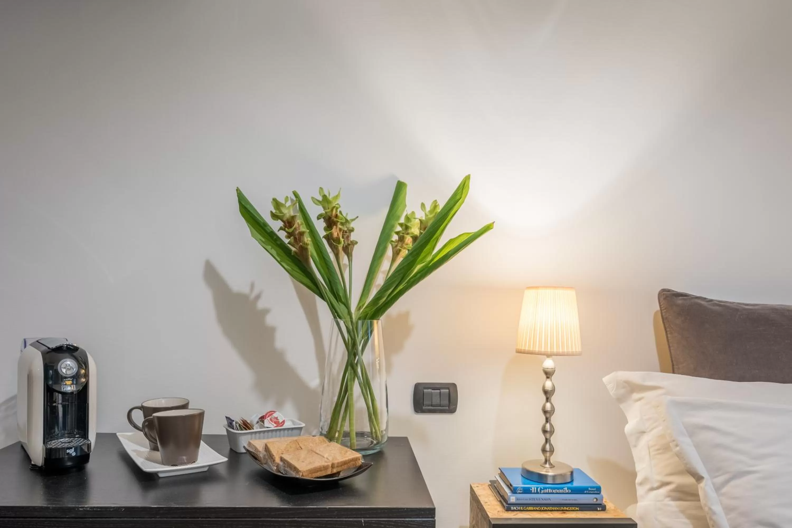 Suite 36 - NEW OPENING