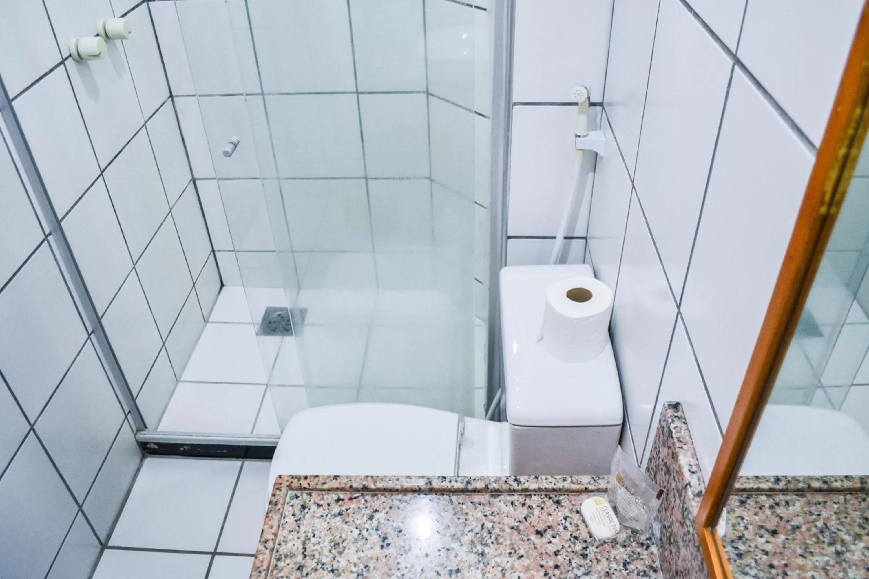 Toilet in Hotel Flat Classic