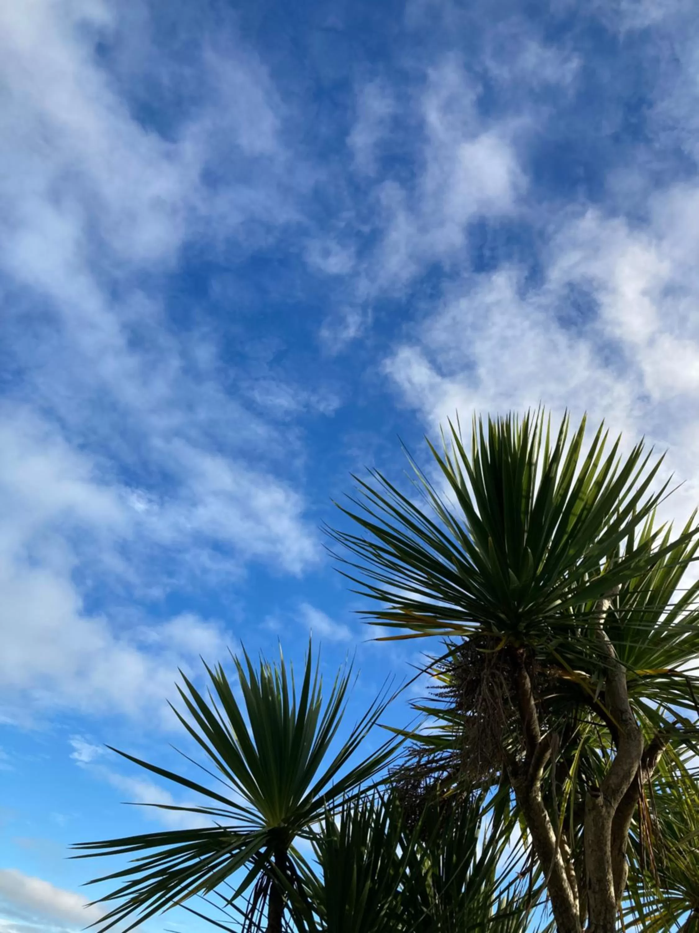 Natural landscape in The Wentworth Guest House