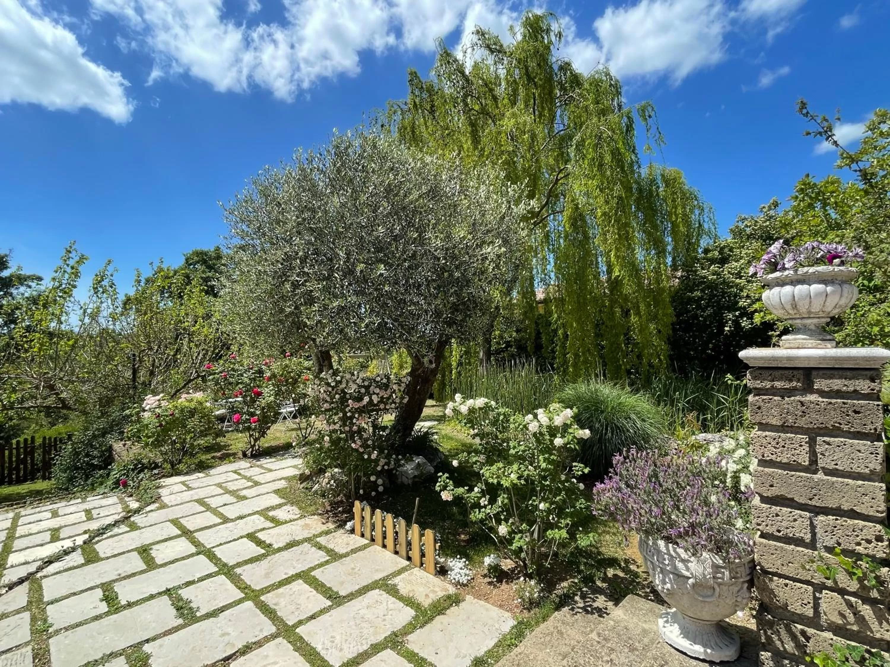 Garden in Home Sweet Home