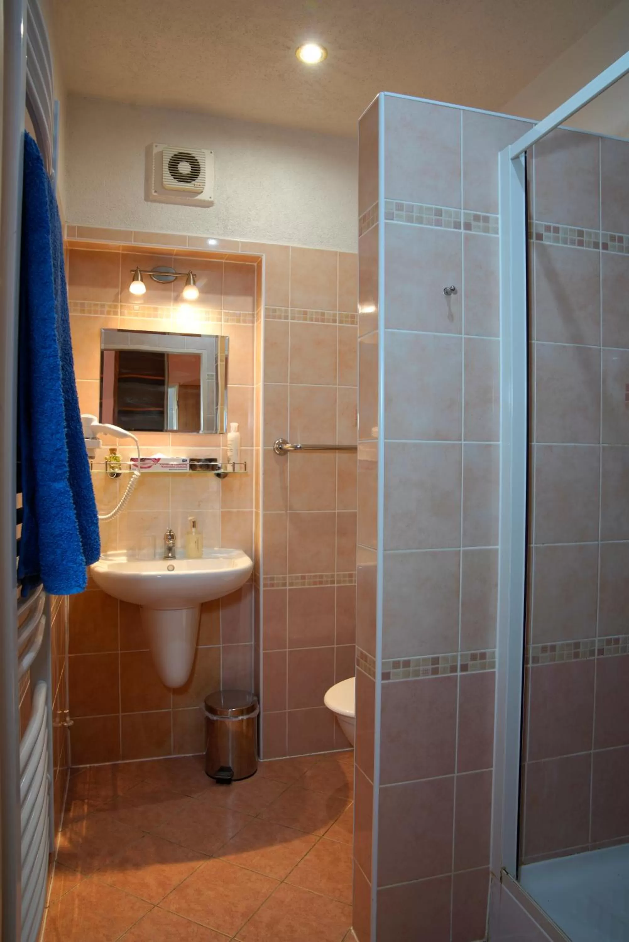 Shower in Hotel Villa Lauretta