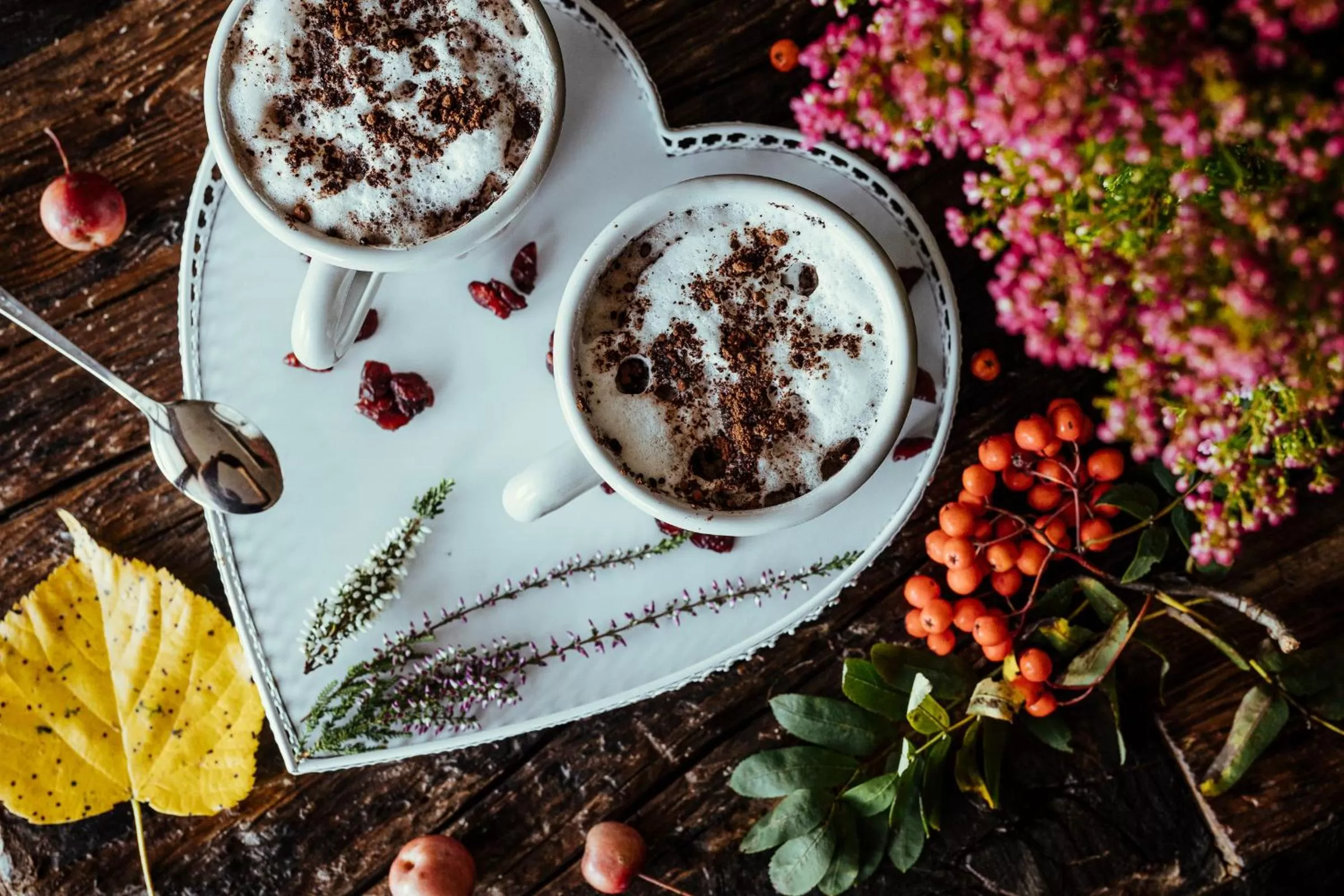 Food and drinks in Hotel Leśny