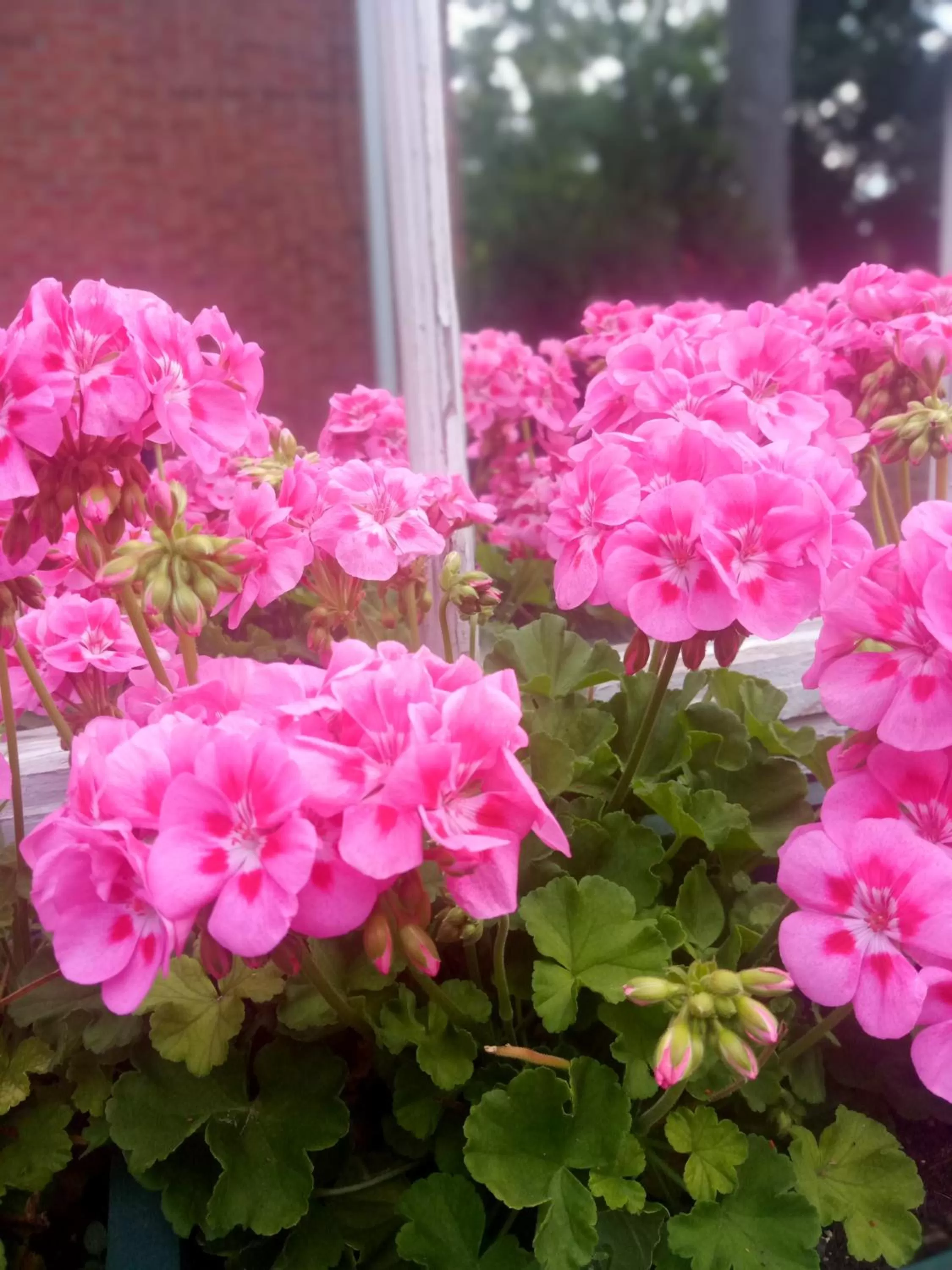 Blairpen House Country Inn