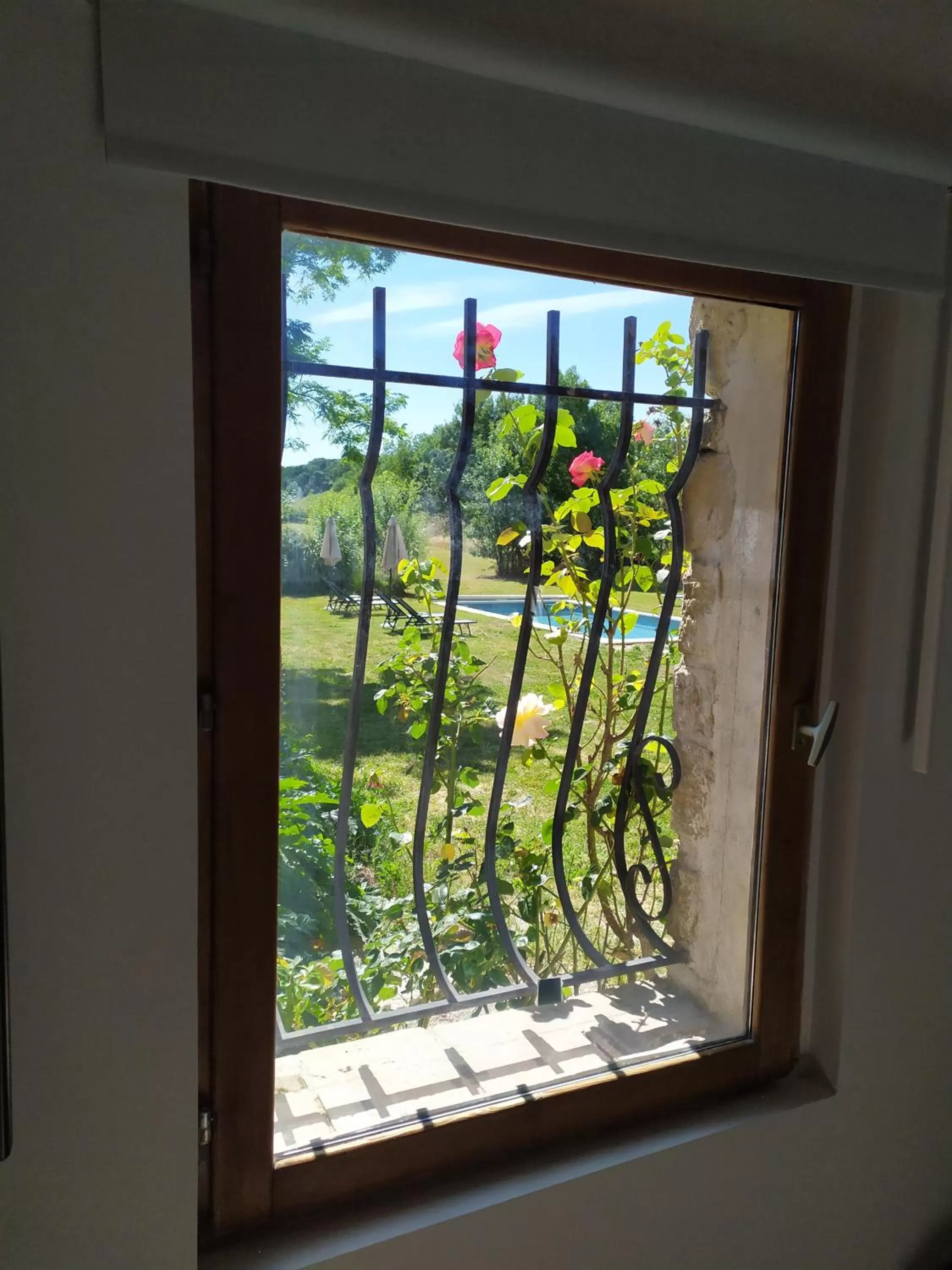 Garden view in Le Mas des Cerisiers JACUZZI et SAUNA inclus pour tous les logements