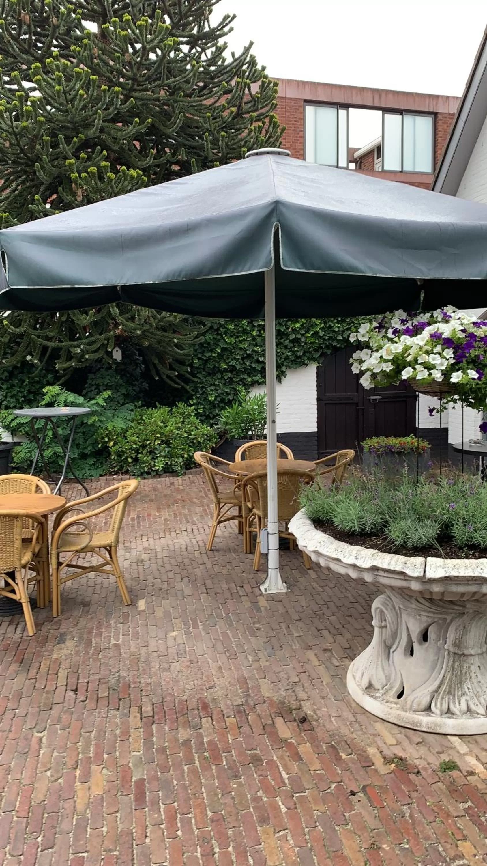 Balcony/Terrace in De Witte Hoeve