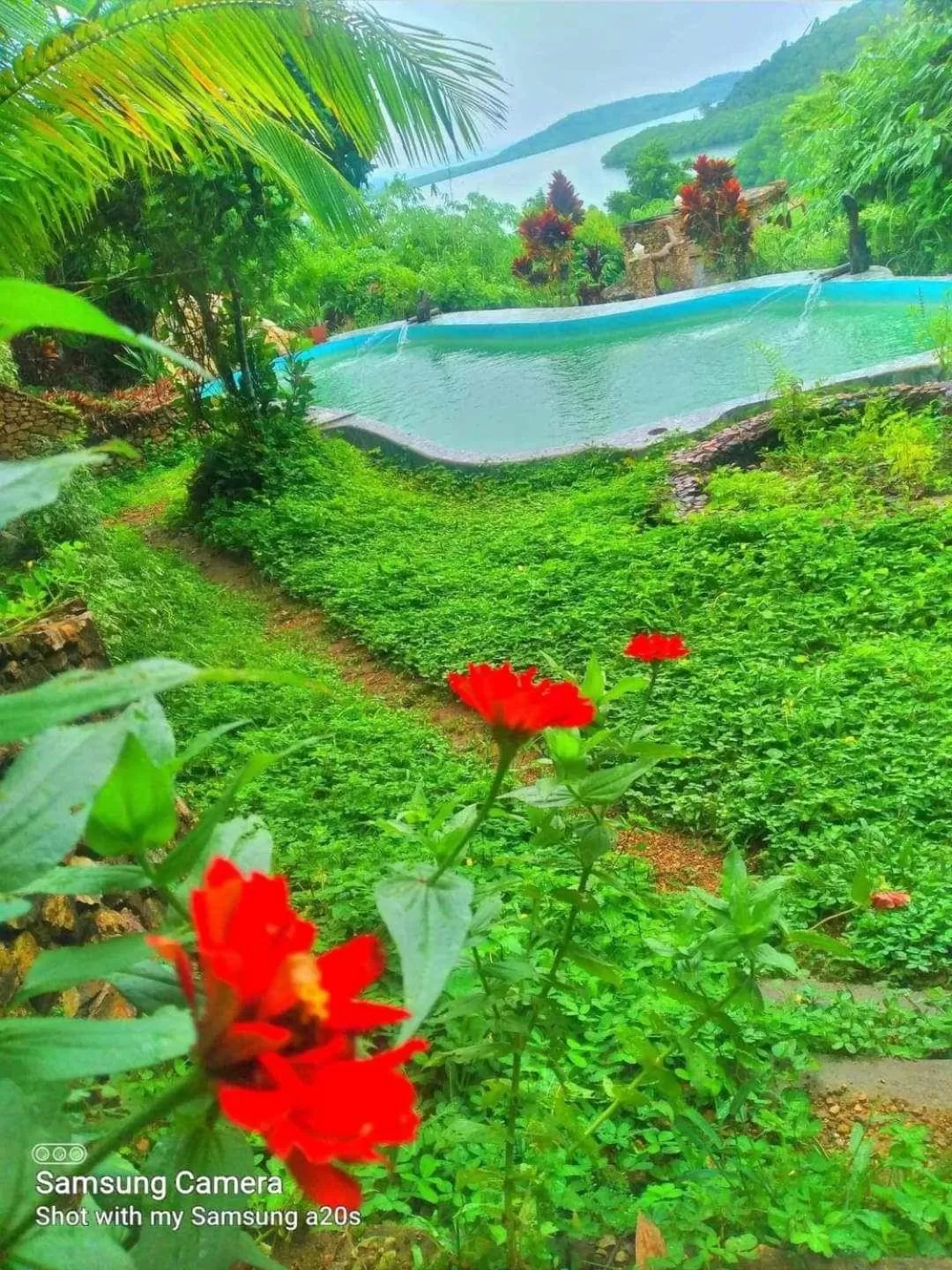 Sanctuaria Treehouses Busuanga