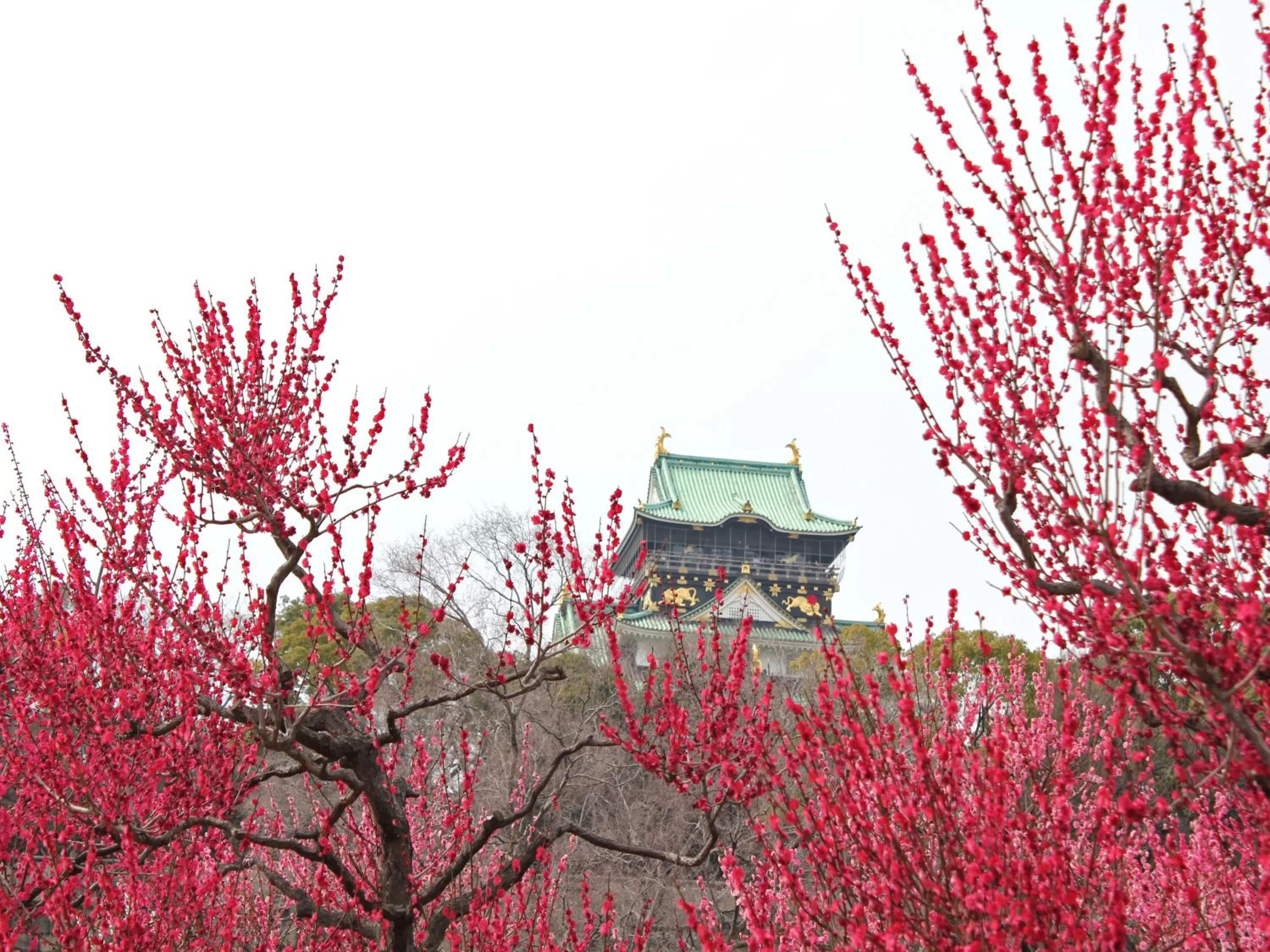 Nearby landmark in Hotel Wing International Select Osaka Umeda