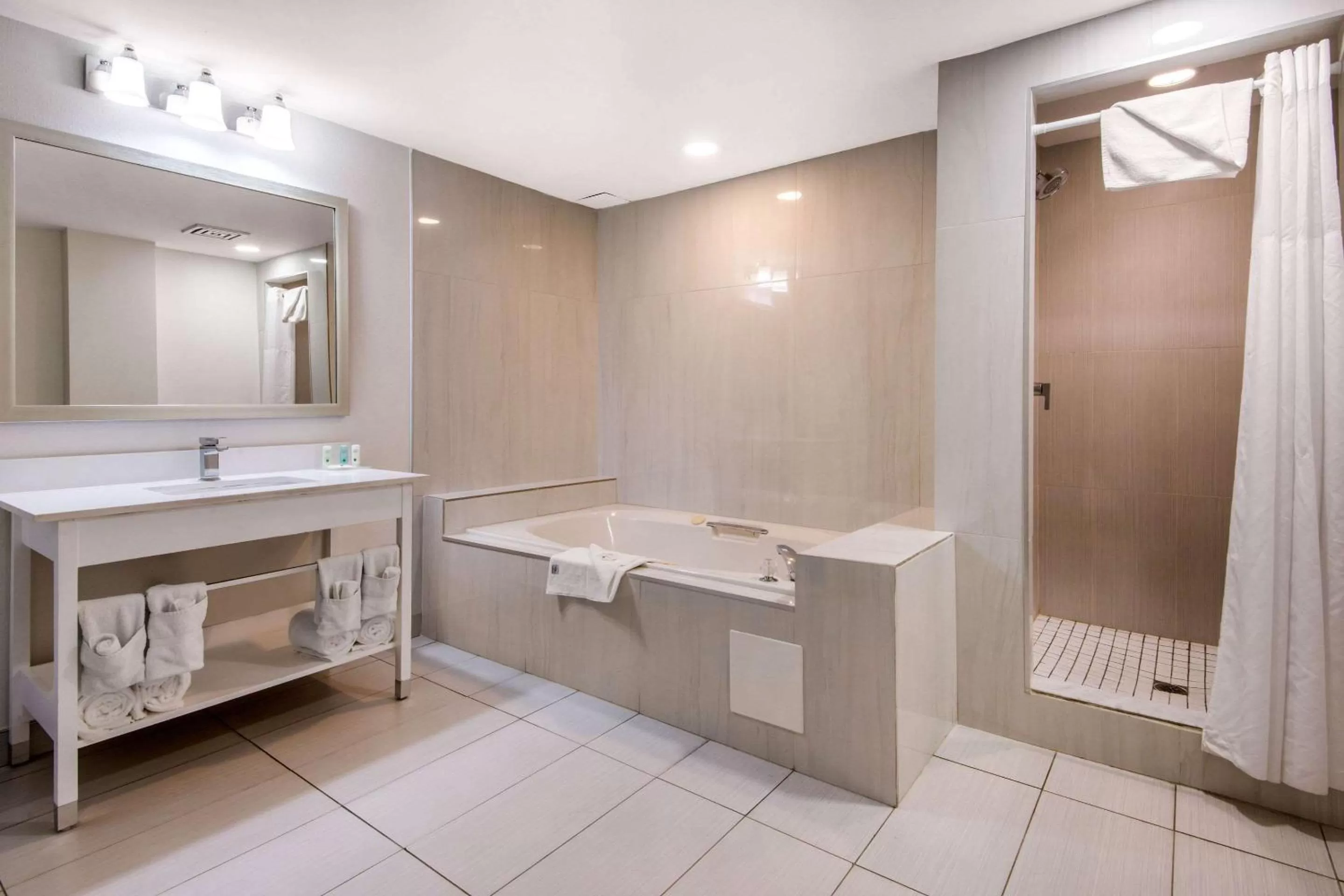 Bathroom in Quality Inn & Conference Centre