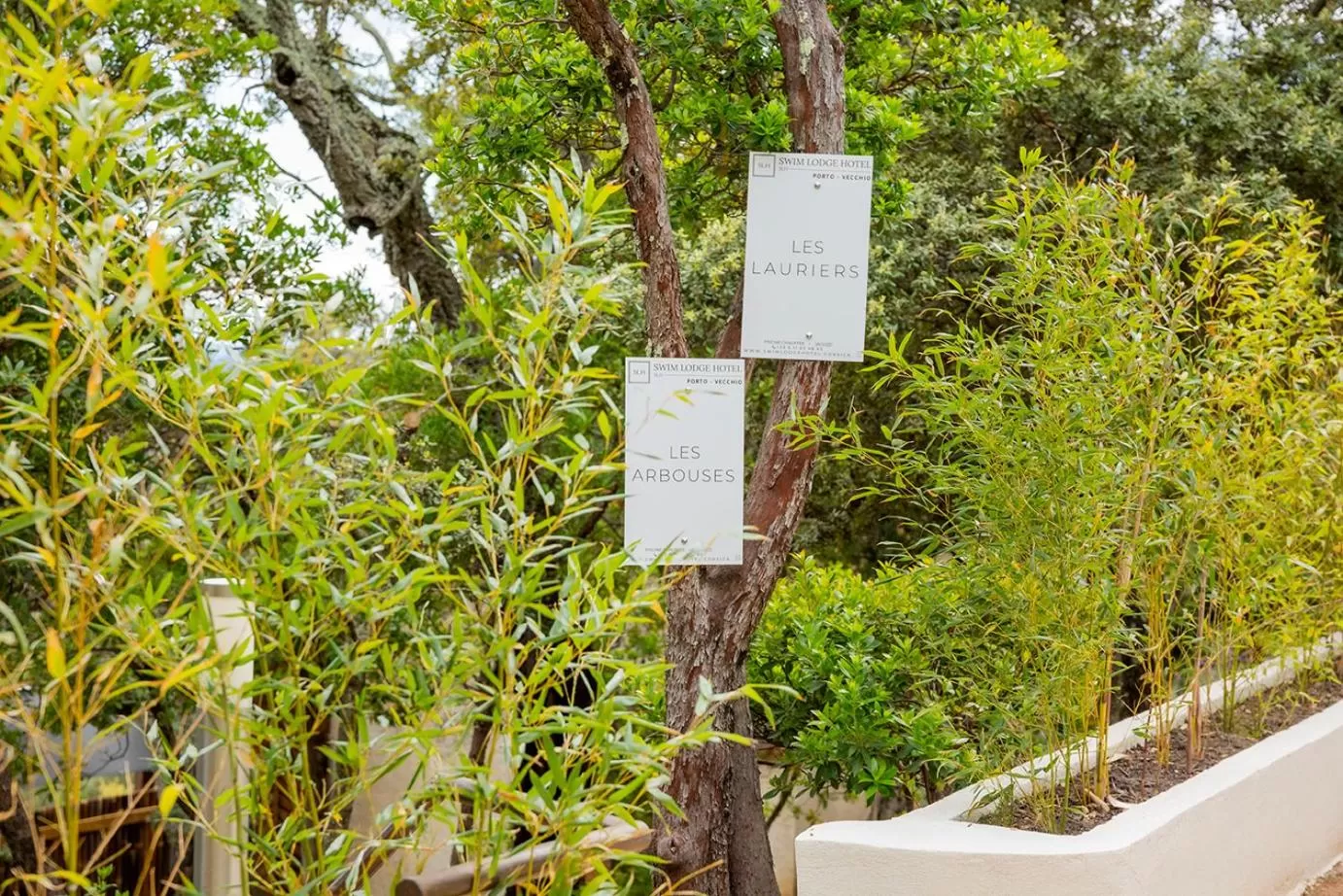 SWIM LODGE HOTEL Piscine privée ou Jacuzzi privé