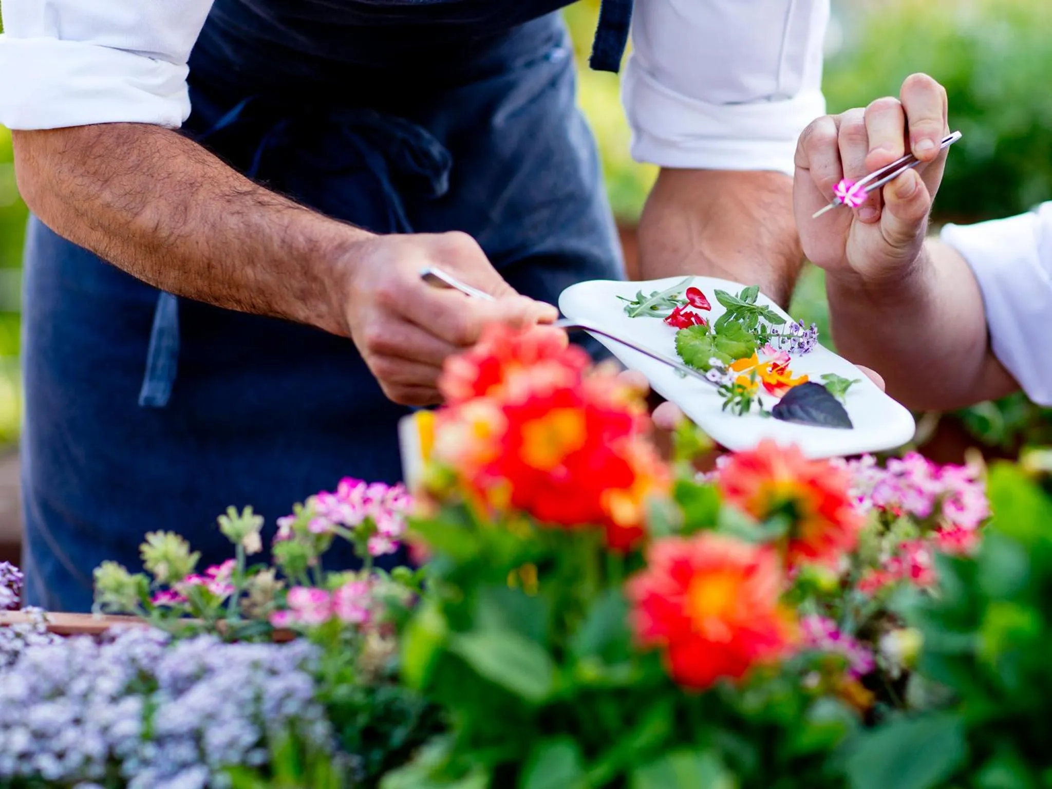 Decorative detail in The Cookbook Gastro Boutique Hotel & SPA