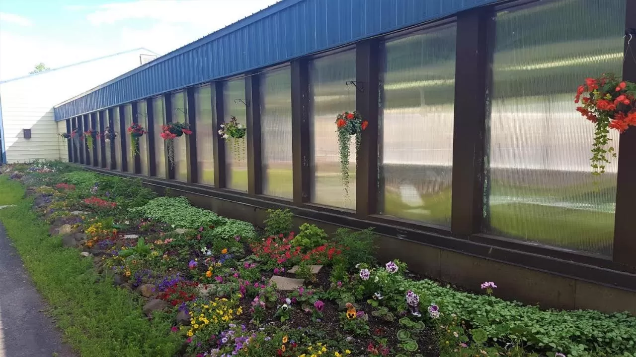 Chena Hot Springs Resort