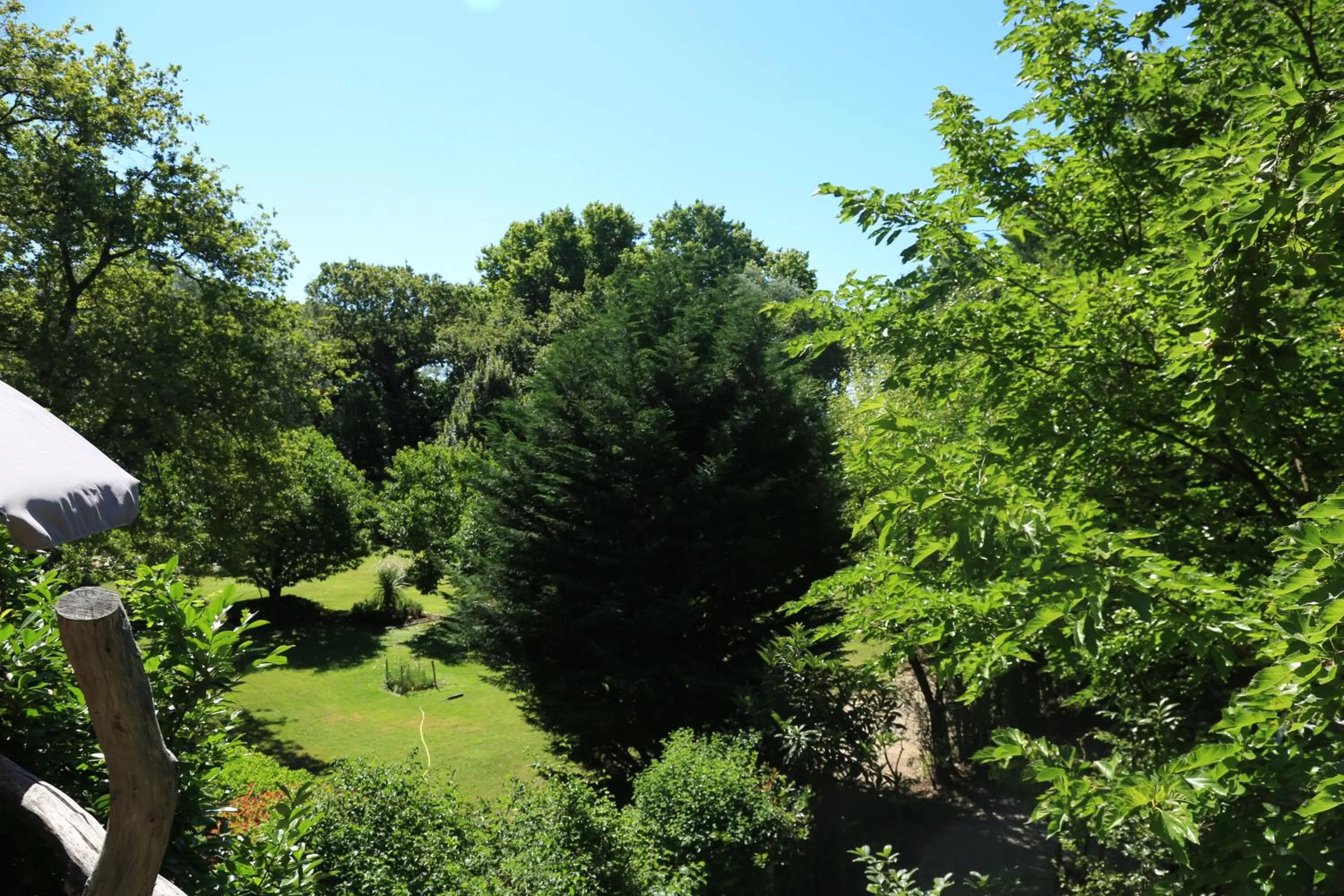 Garden in Le Pavillon Vert - B&B