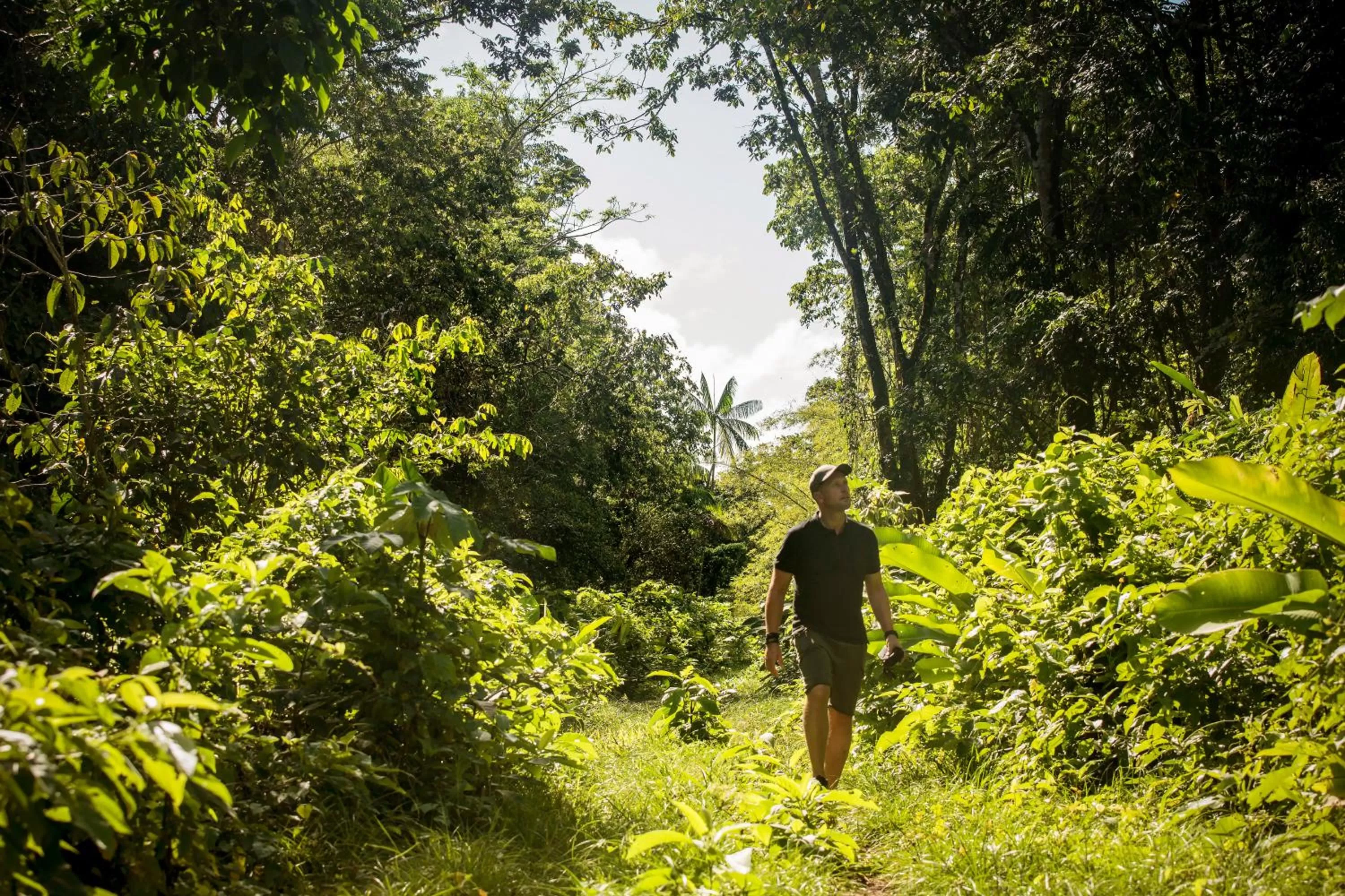 Day in Boutique Hotel Peperpot