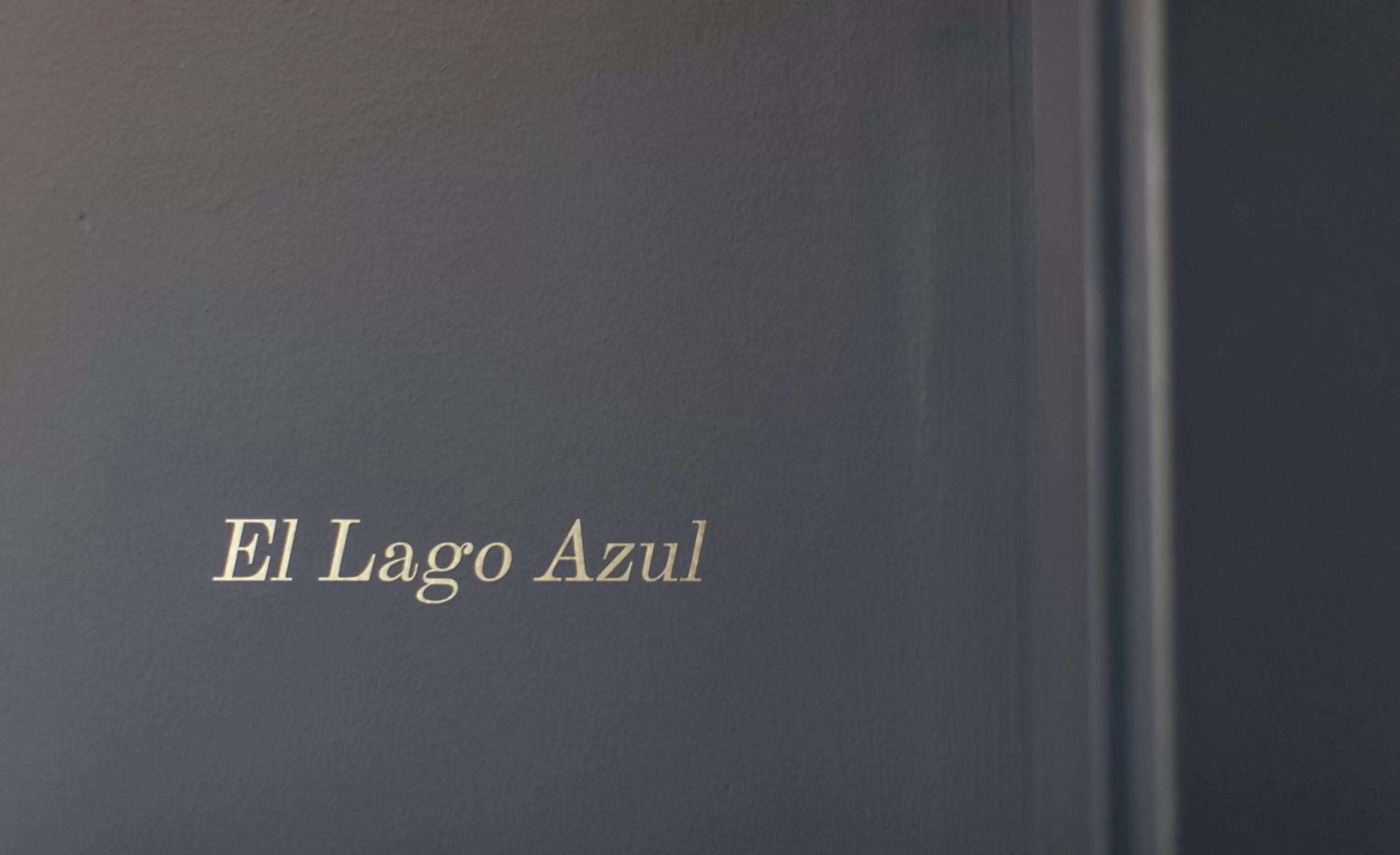 Decorative detail in Hotel Mi Norte