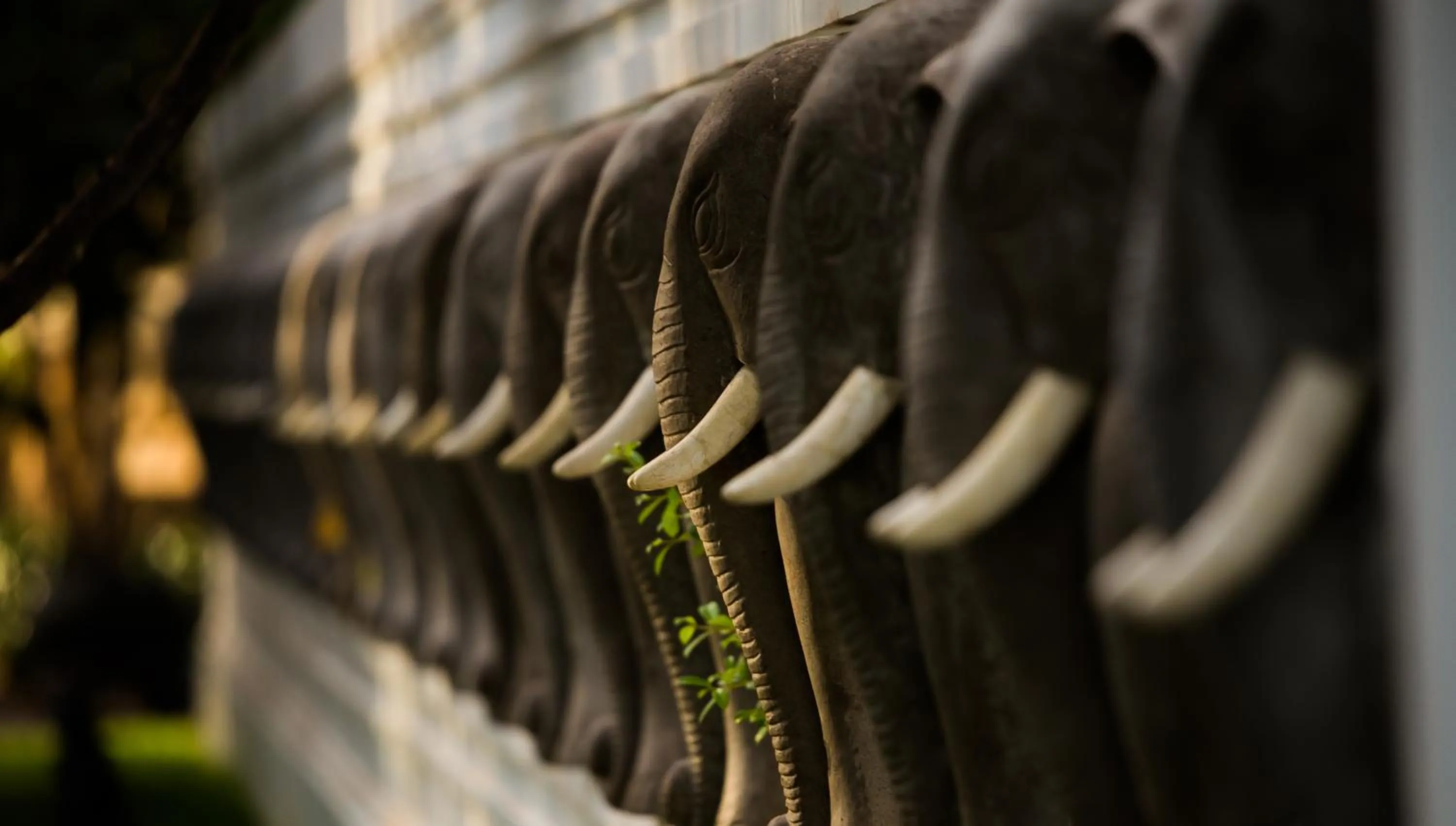Natural landscape in Bensley Collection Pool Villas - Shinta Mani Angkor