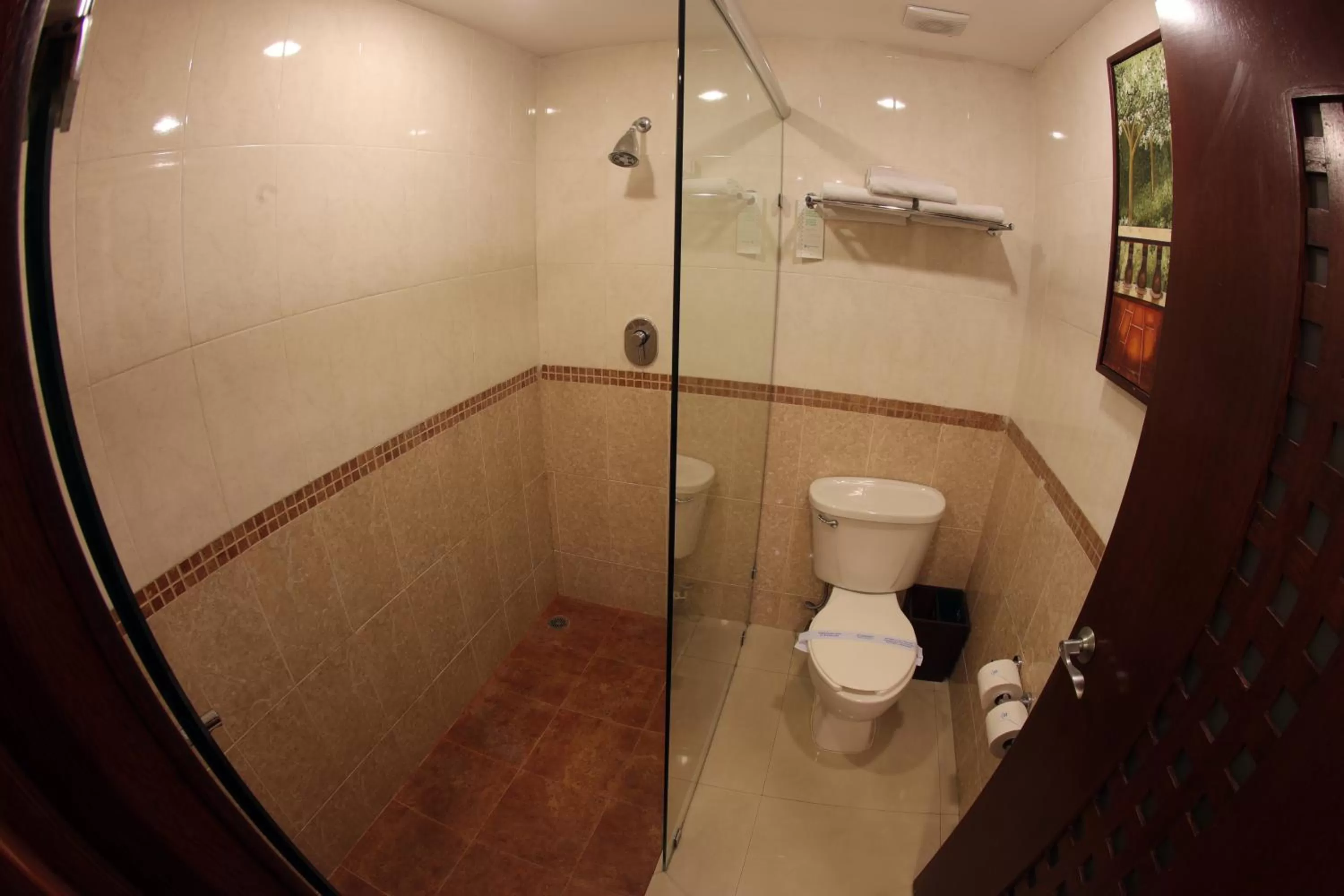 Bathroom in Wyndham Merida