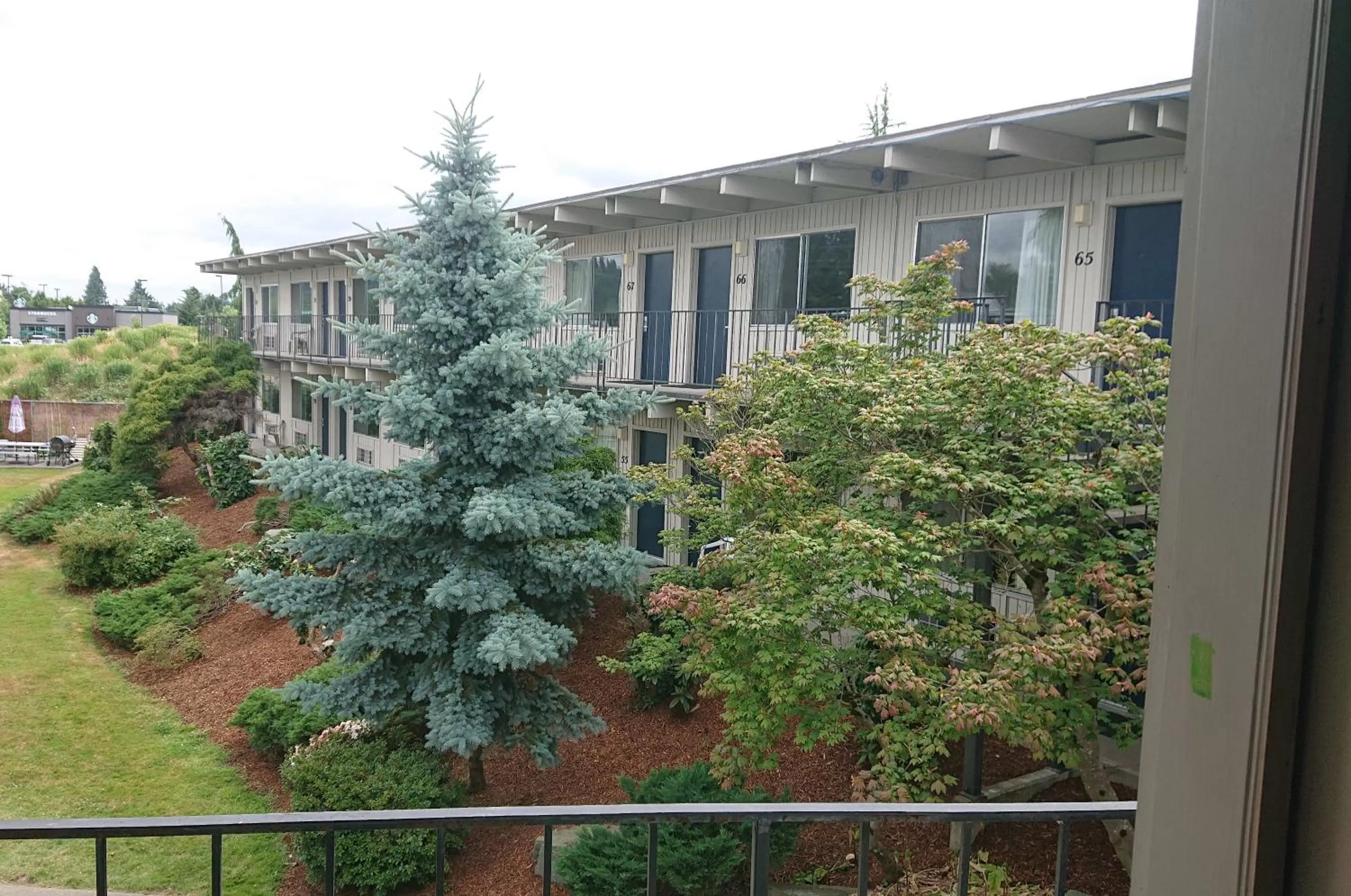 View (from property/room) in Cocusa Motel