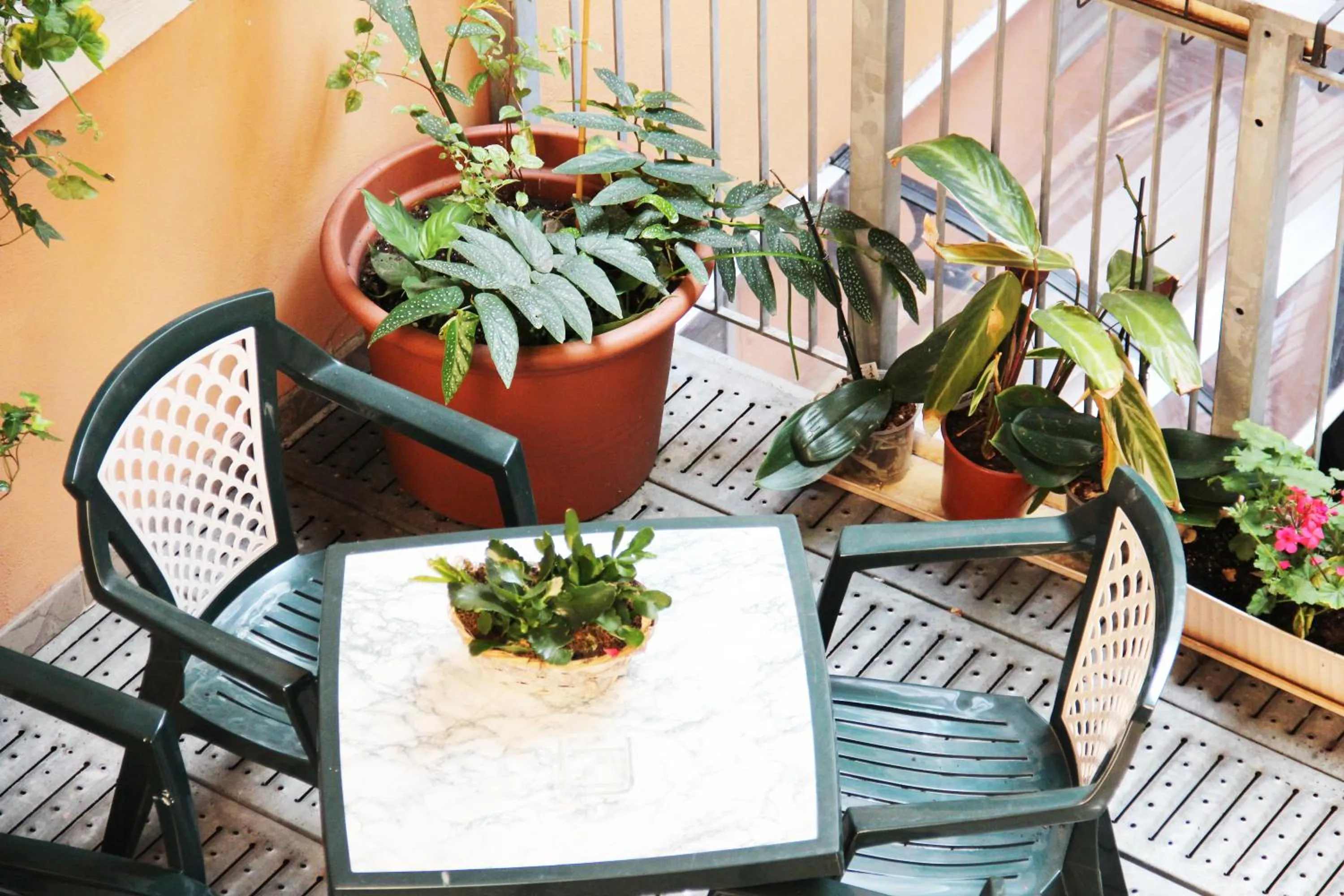 Balcony/Terrace in Albergo Al Viale