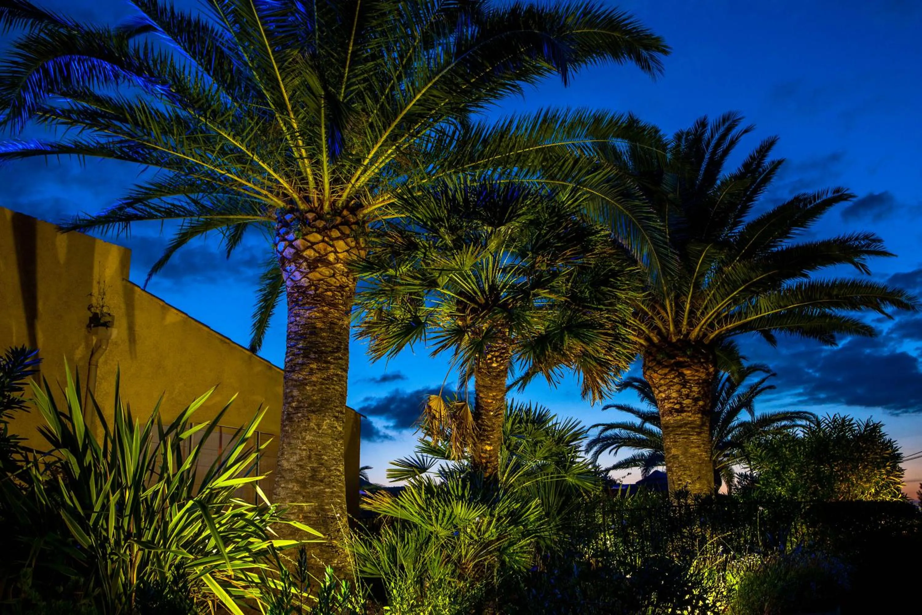 Other in Hotel Cesario