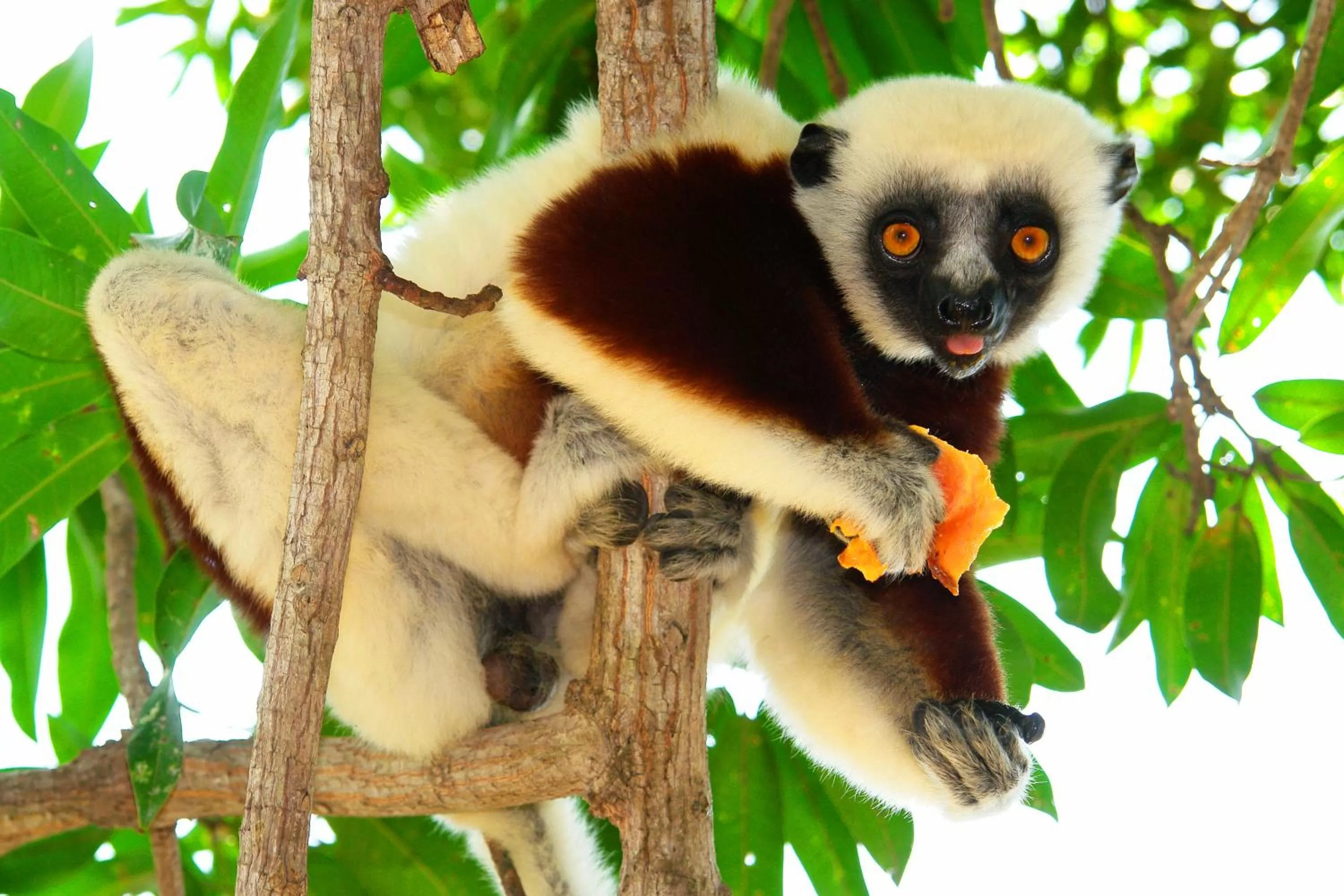 Day in Antsanitia Resort