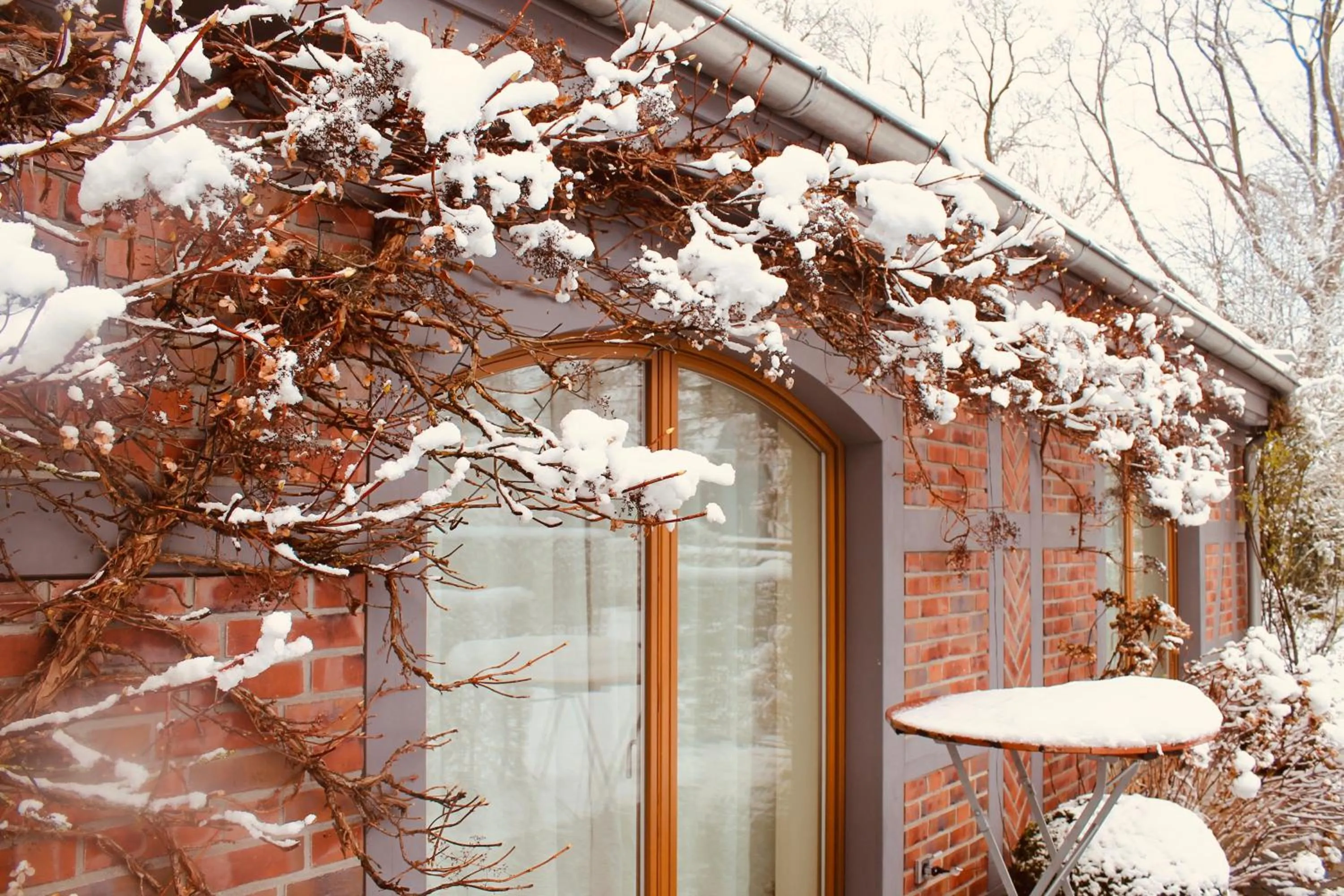 Facade/entrance in Hotel am Wallgraben