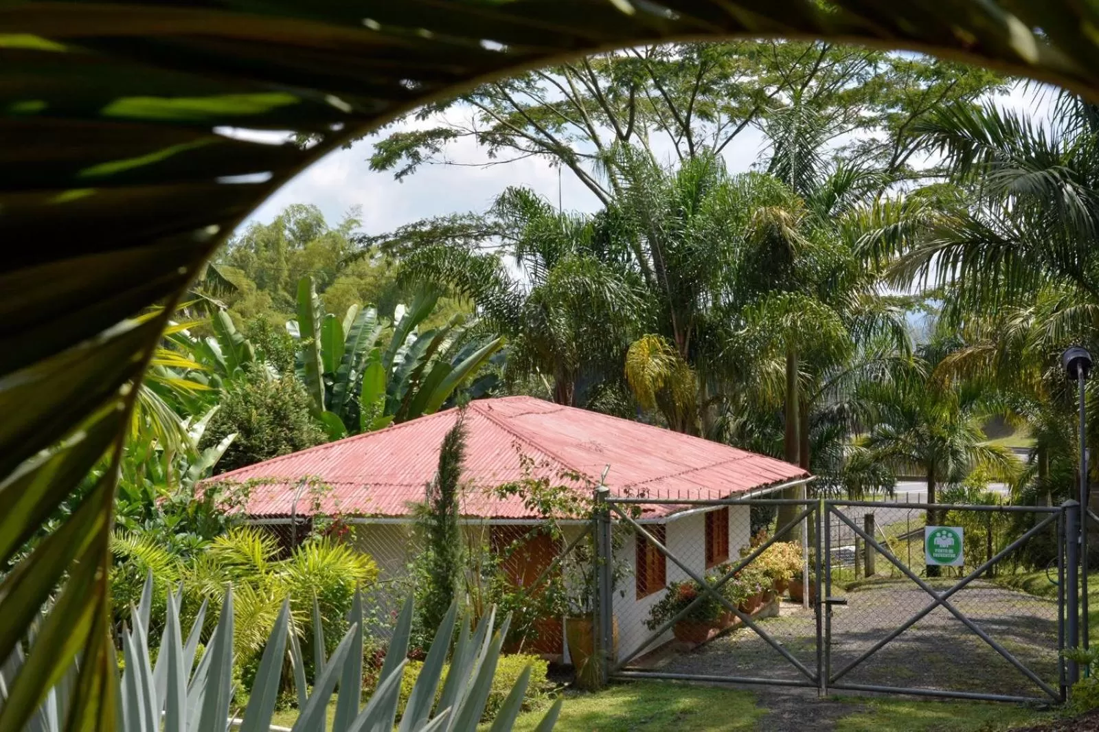 Property building in Cabañas Las Bifloras