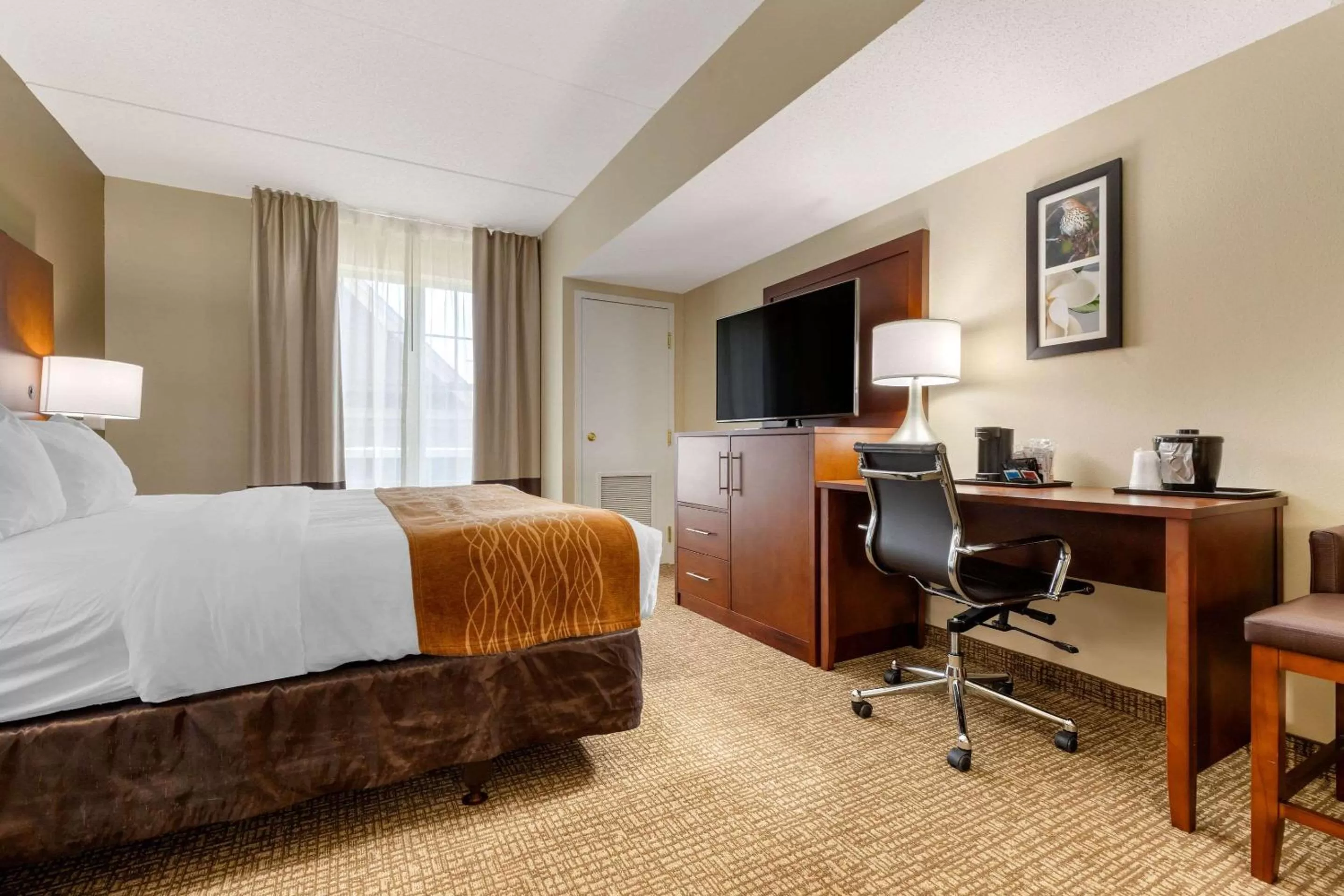 Photo of the whole room, Bed in Comfort Inn & Suites Cordele