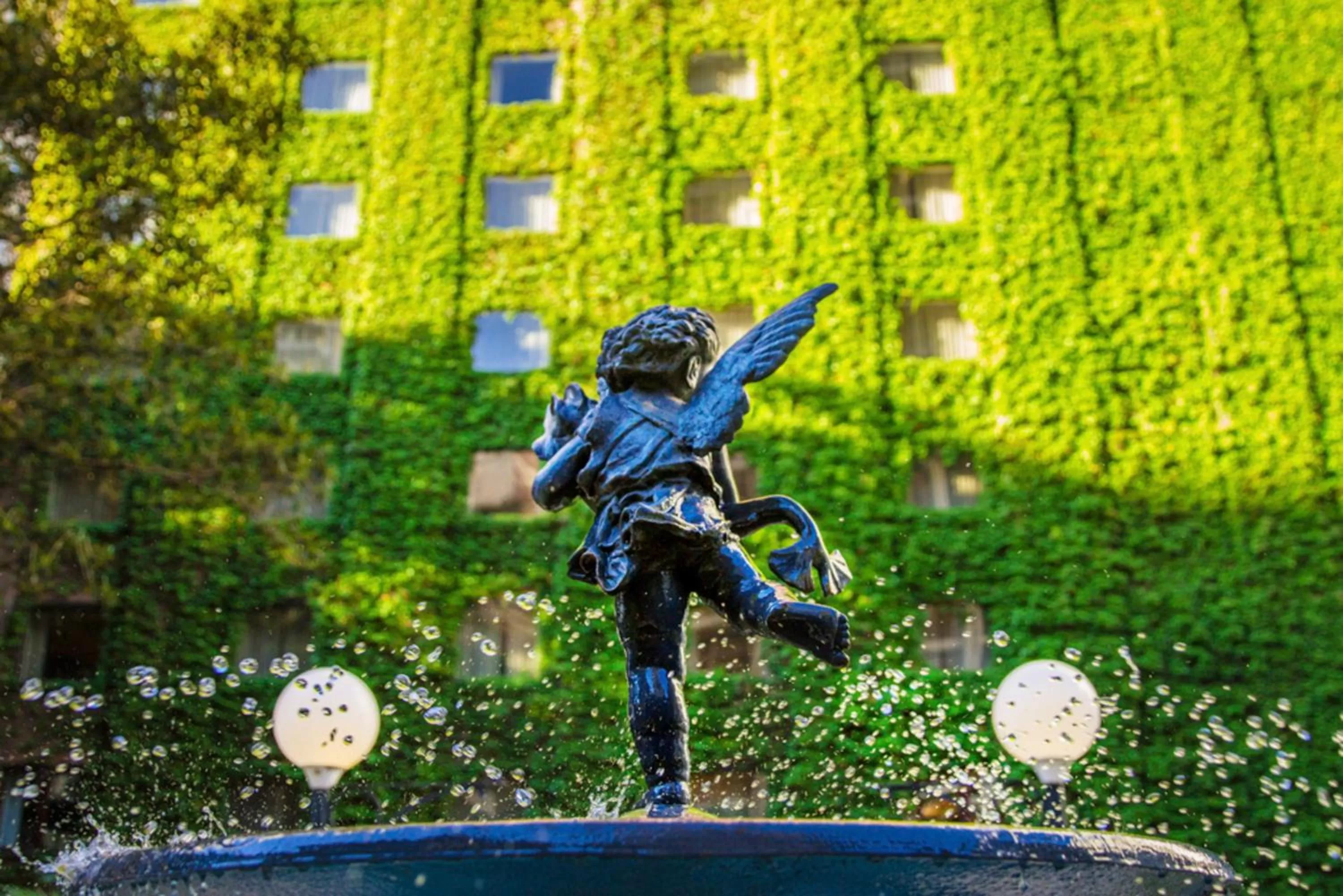 Garden in Sofitel Buenos Aires Recoleta