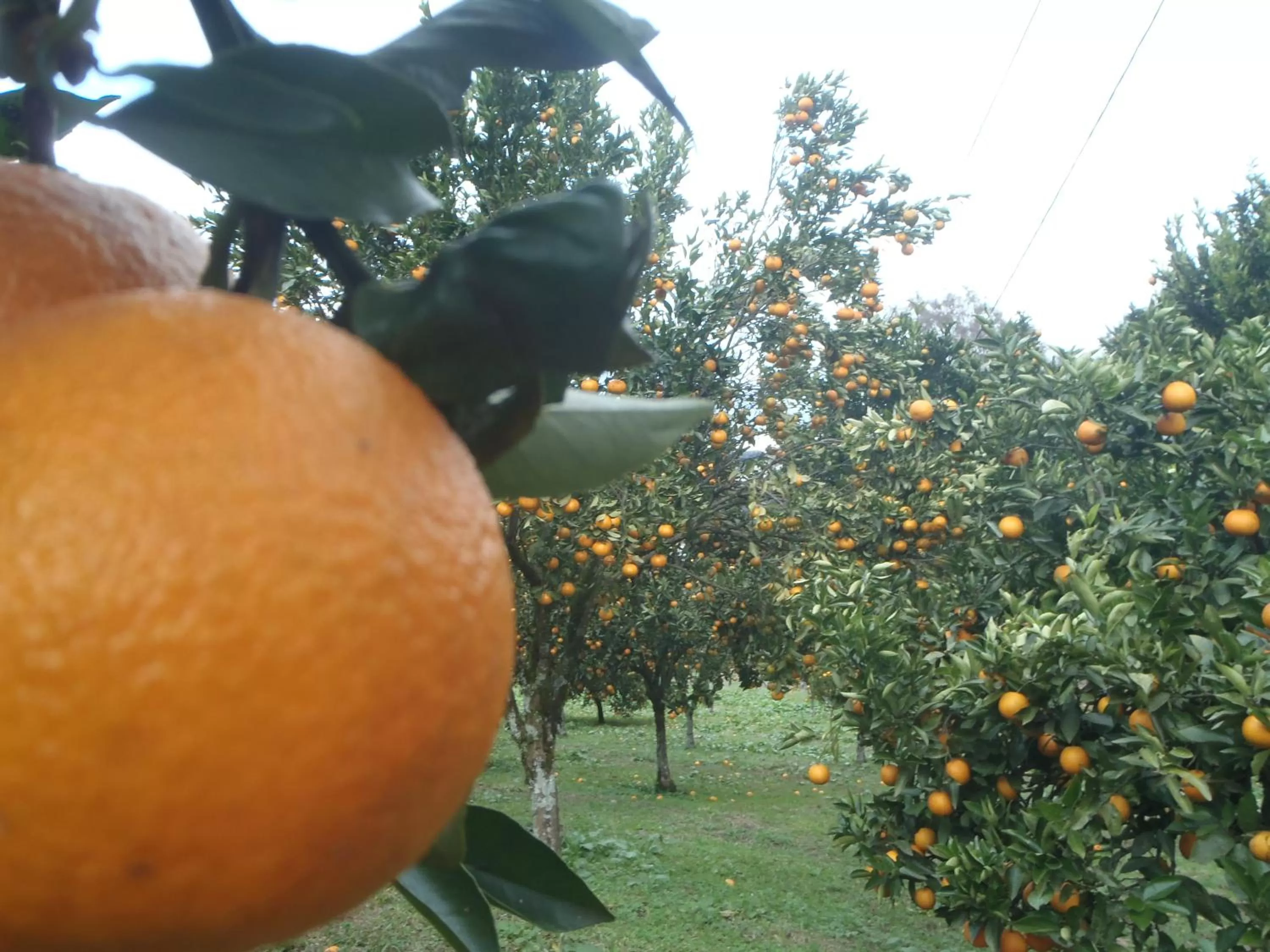 Other in Hotel Villa Michelon