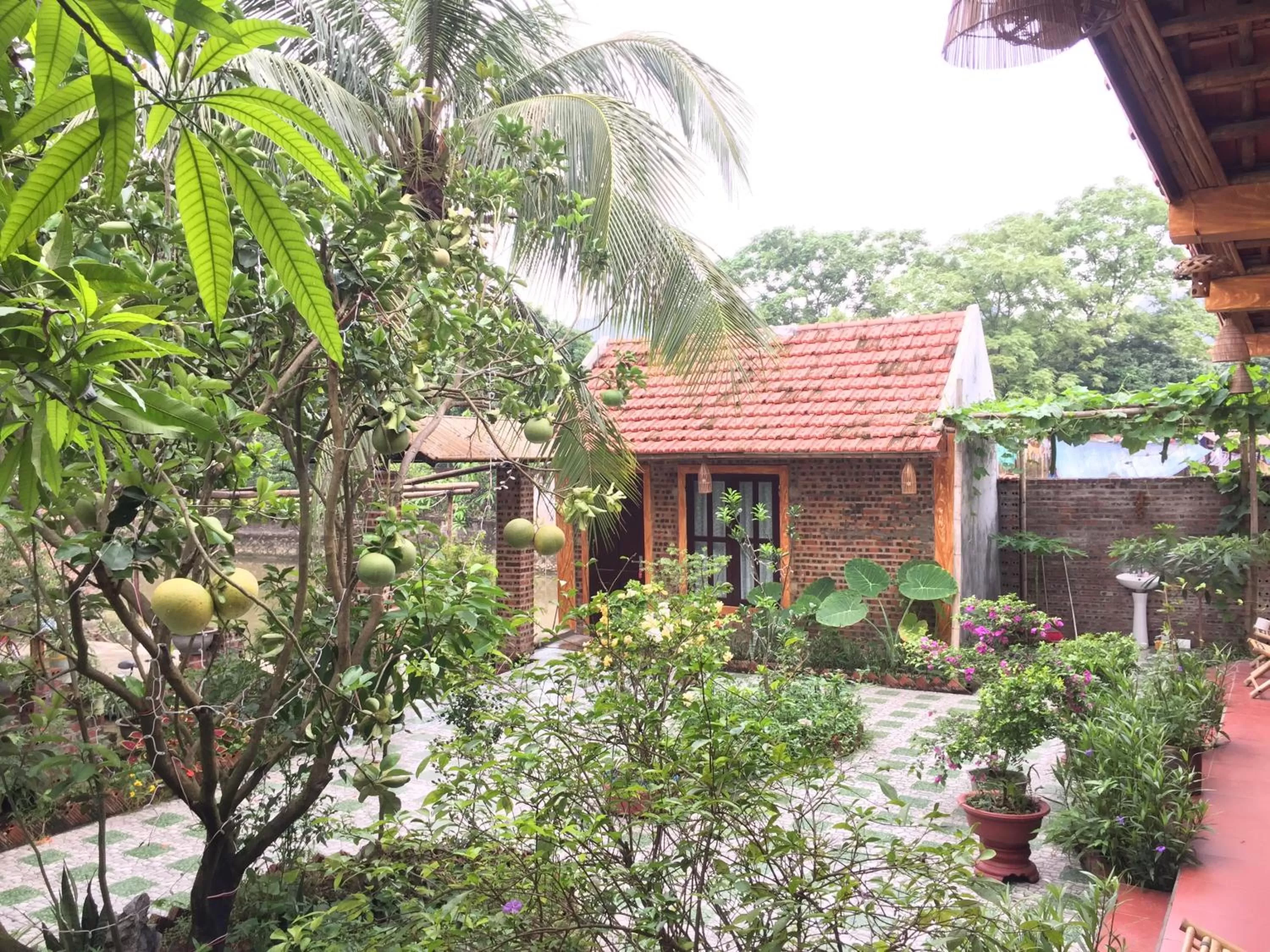 Property building in Tam Coc Vinh Thinh Homestay