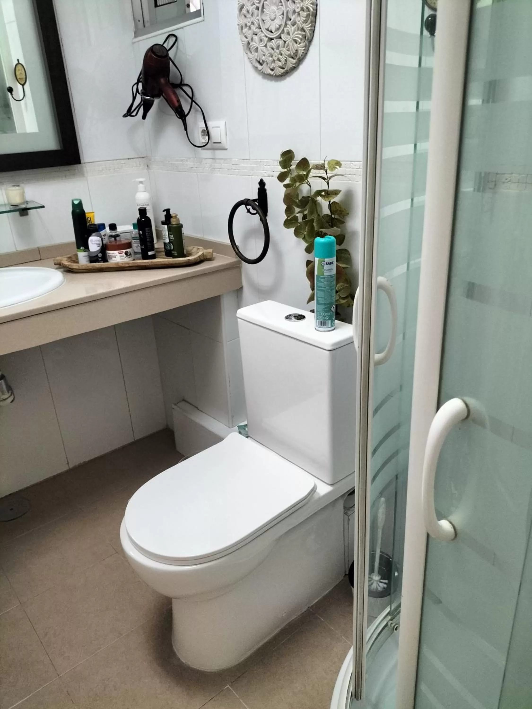 Bathroom in Apartamentos Flamenco B&B