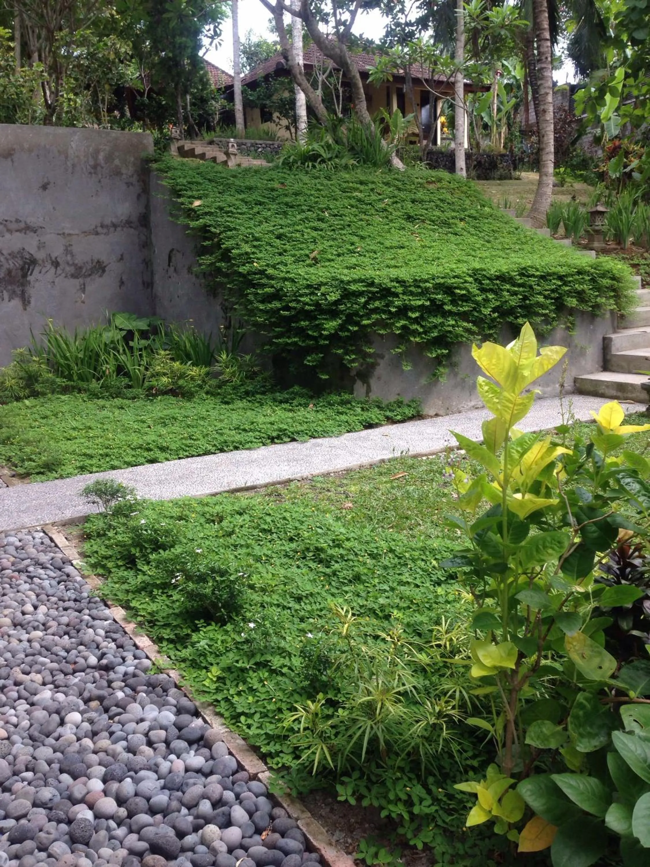 Garden in Argasoka Bungalows