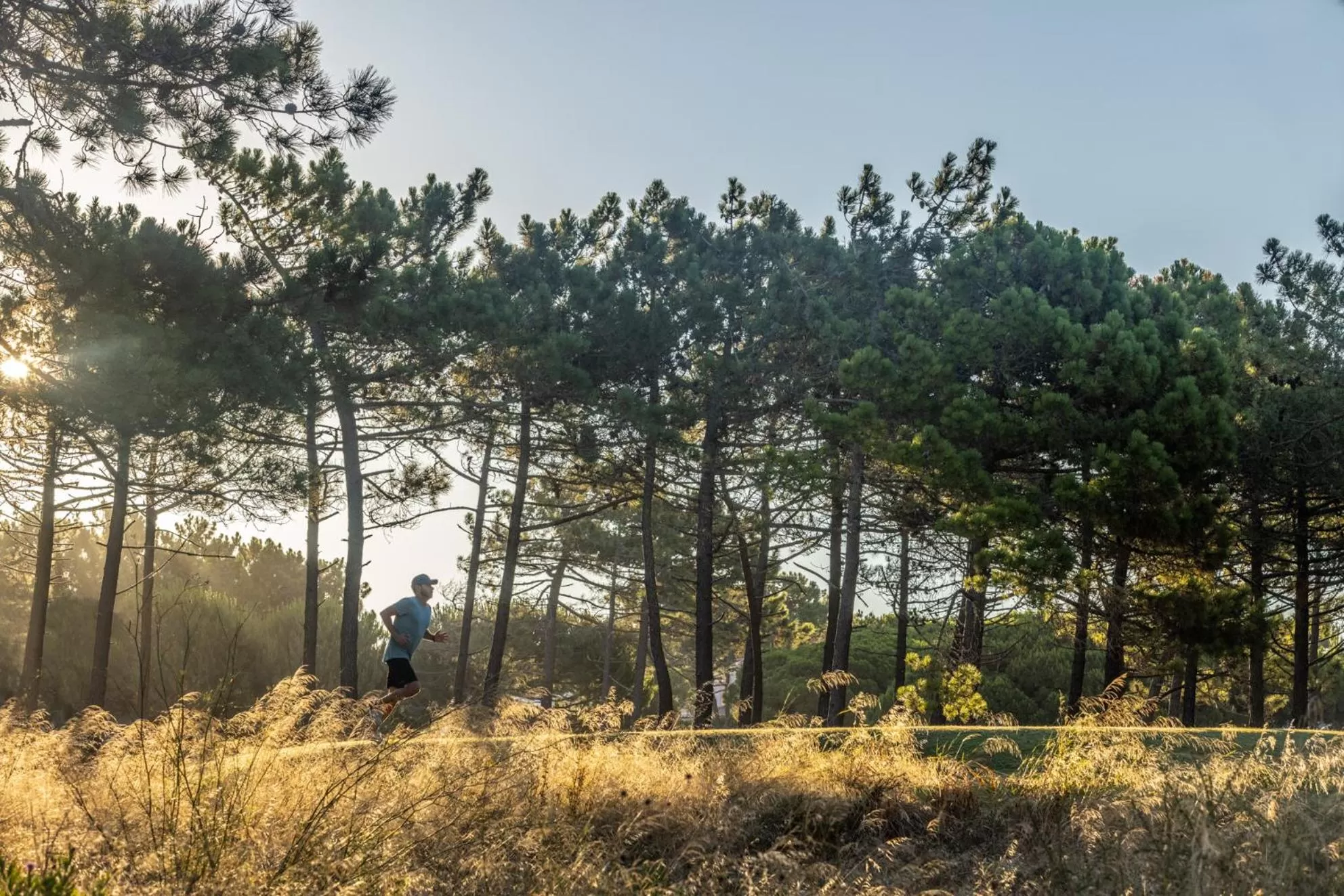 Activities, Natural Landscape in The Oitavos