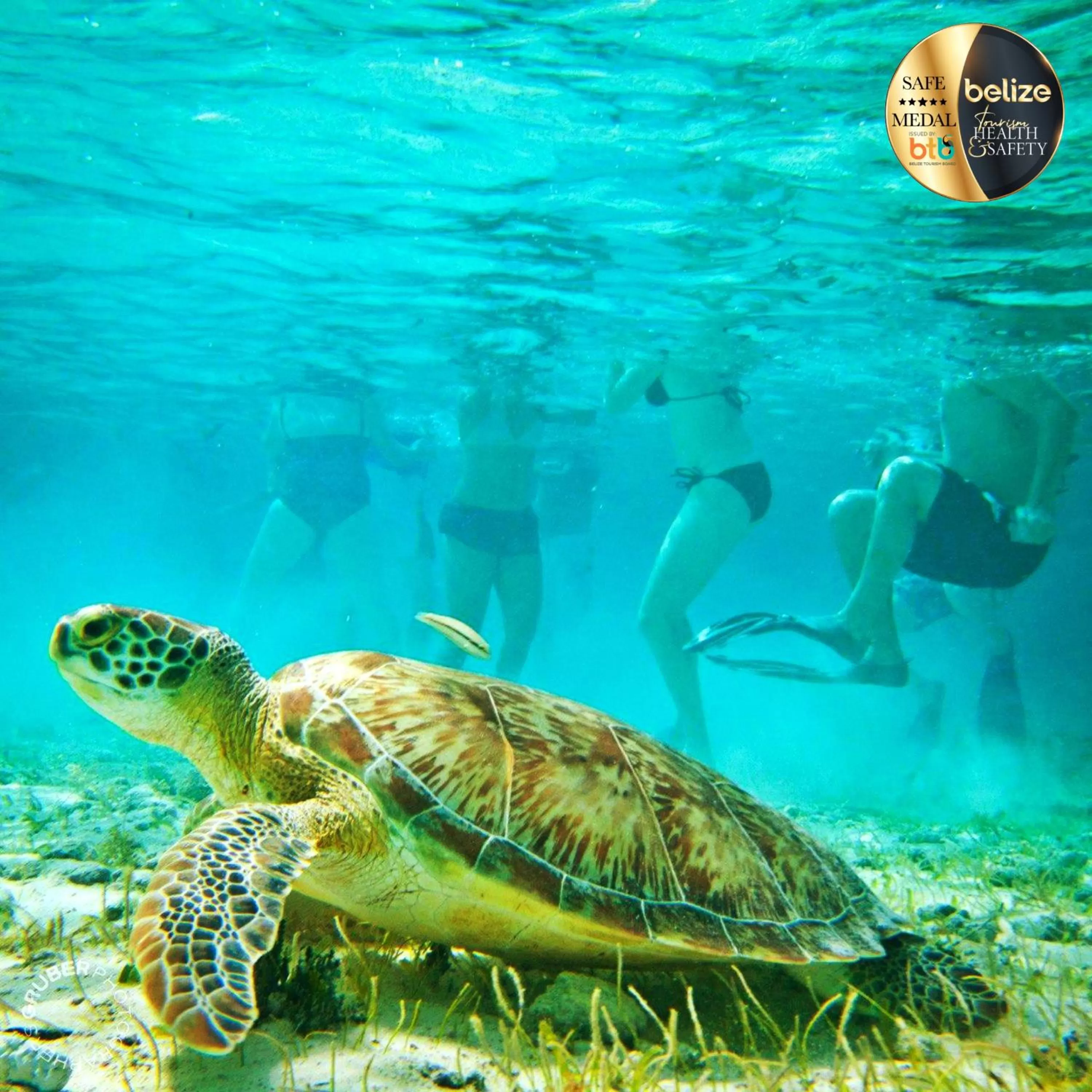 Snorkeling in Portofino Beach Resort-An Authentic Island Escape!