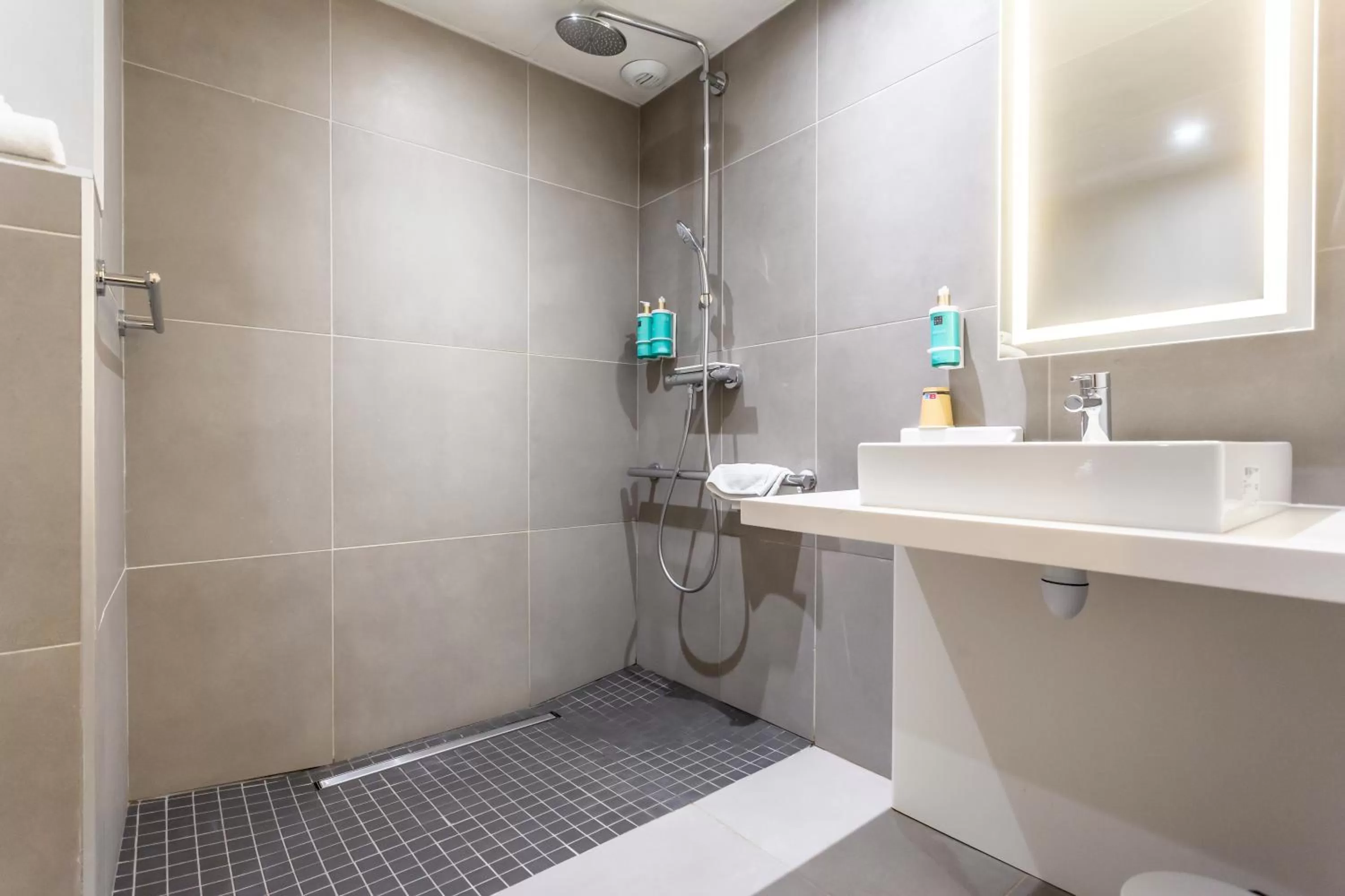 Facility for disabled guests in Novotel Bourges