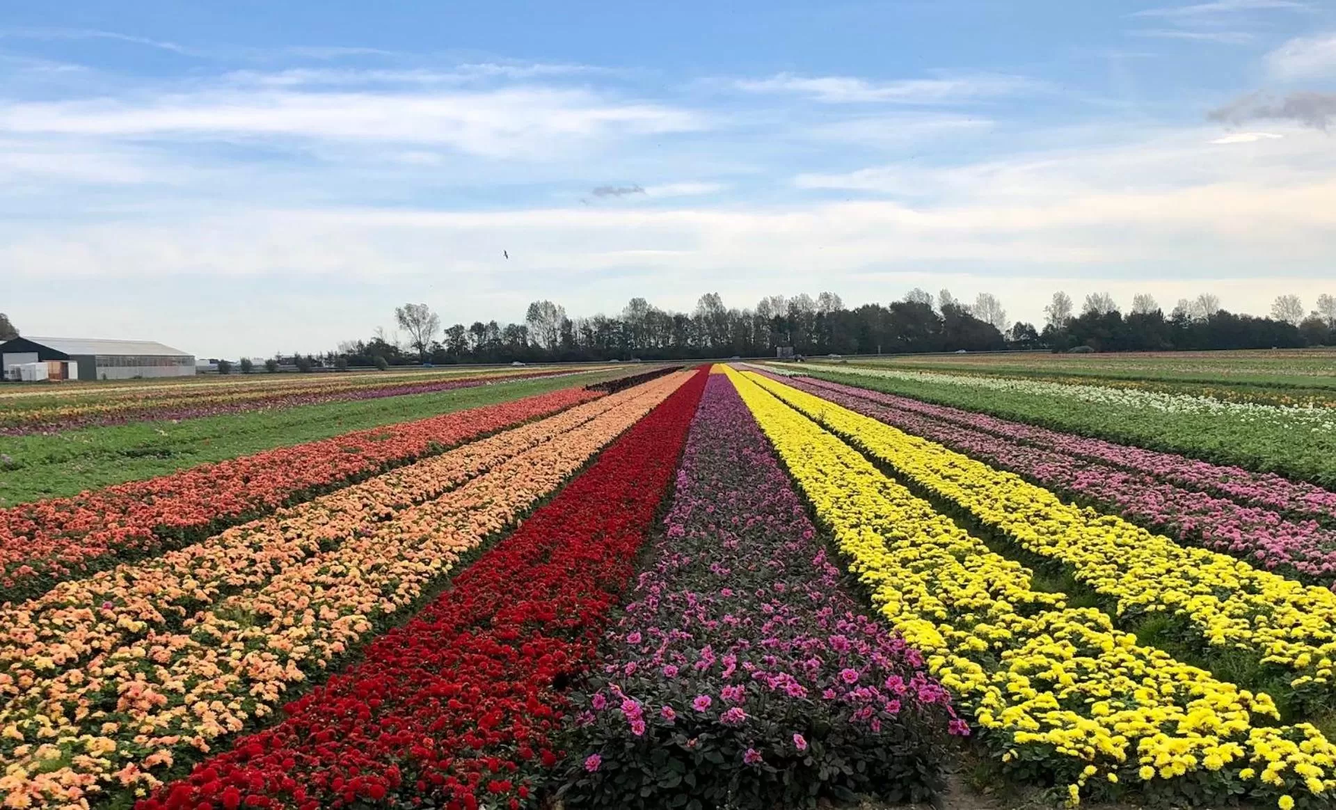 Natural landscape in B&B de Cley
