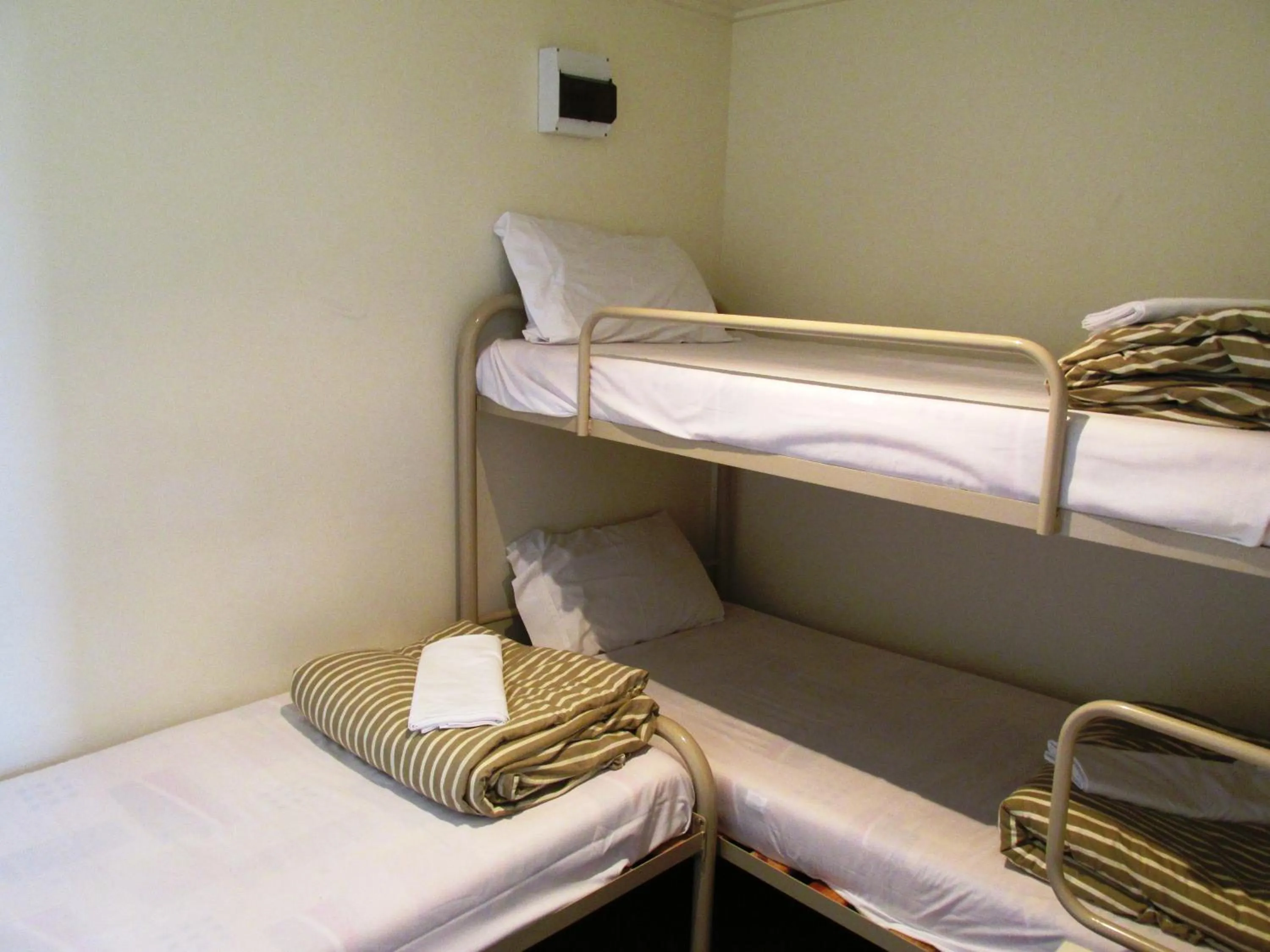 bunk bed, Bed in Dunedin Holiday Park