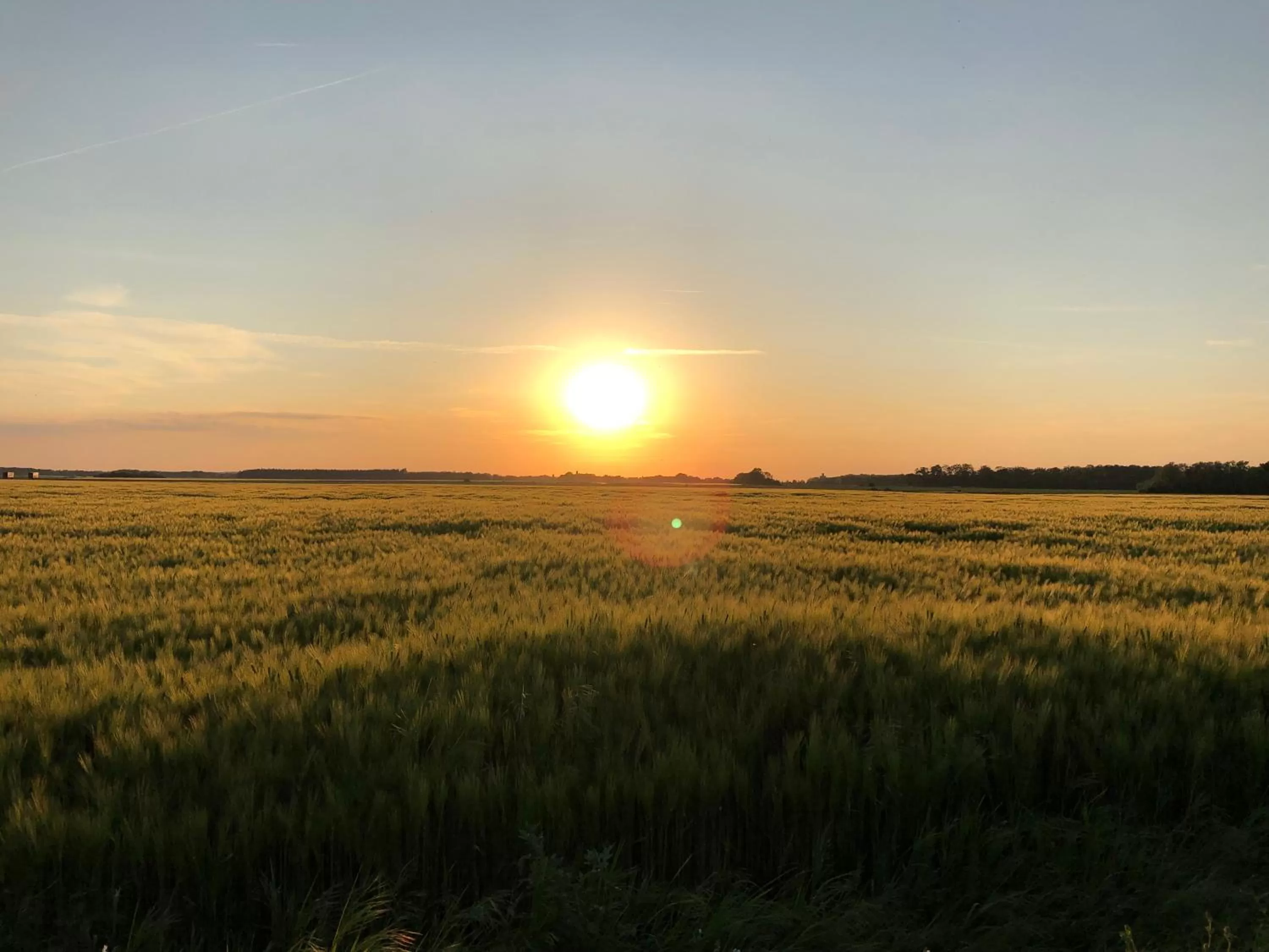 Hiking in La plaine de l'Angelus