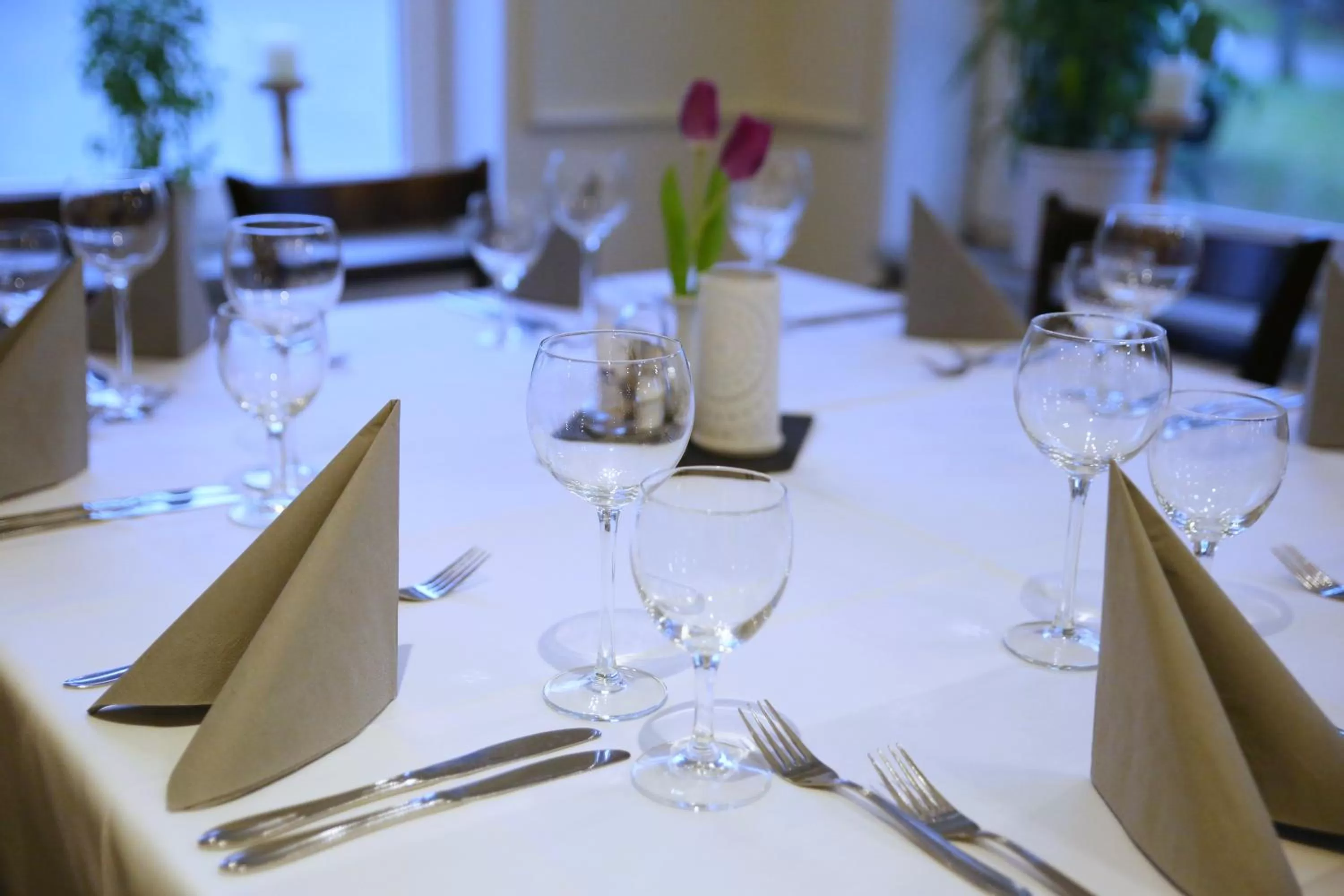 Restaurant/places to eat in Waldhotel Wilhelmshöhe