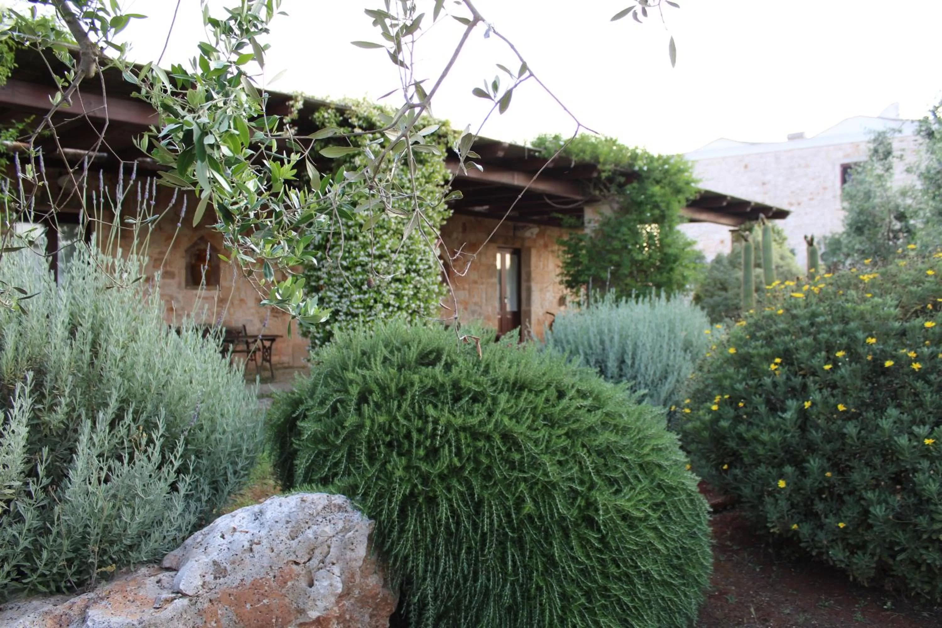Garden view, Garden in Masseria Tolla