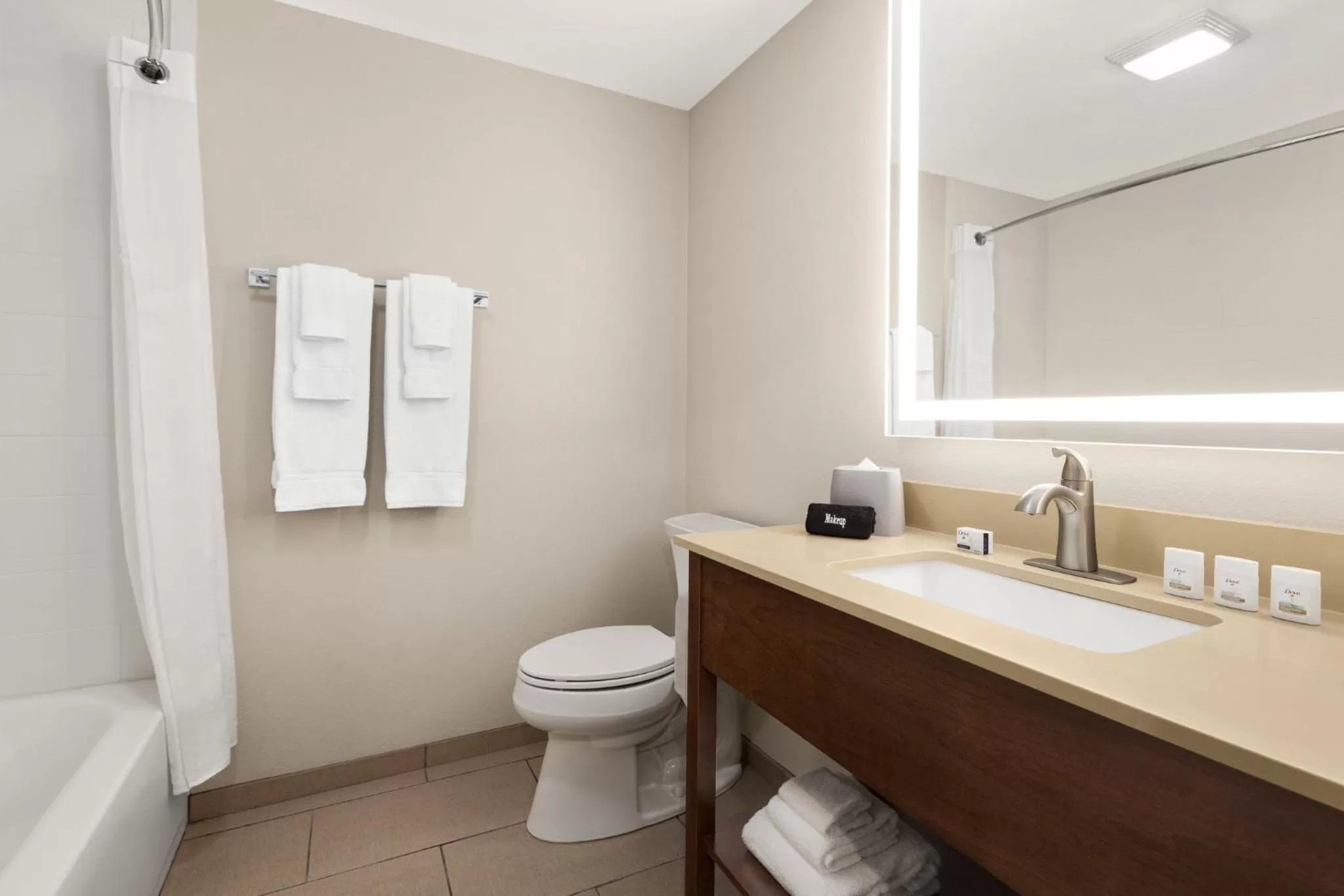 Bathroom in Holiday Inn Express & Suites Evansville Downtown by IHG