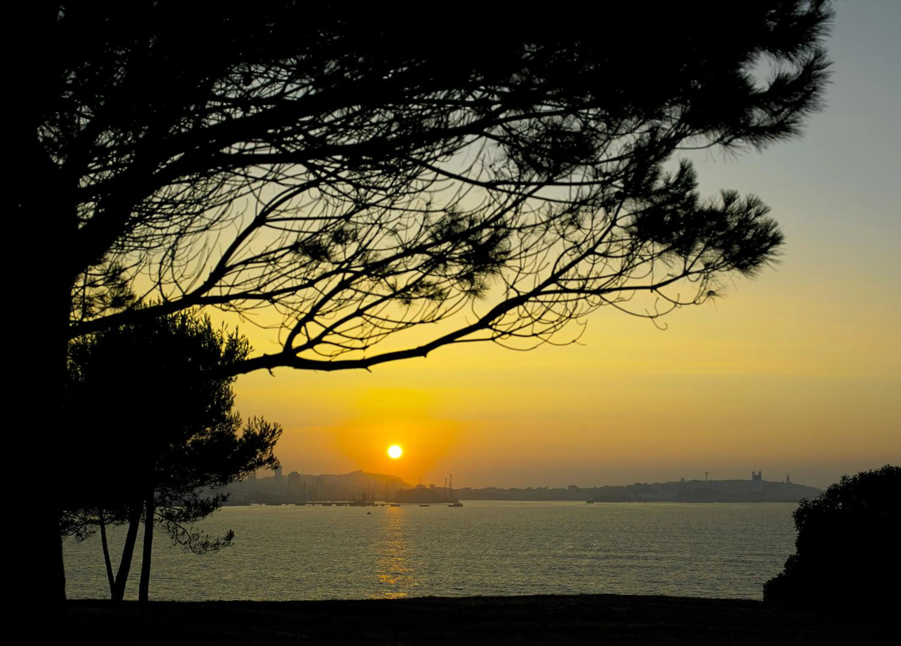 Night in Aparthotel Attica21 As Galeras