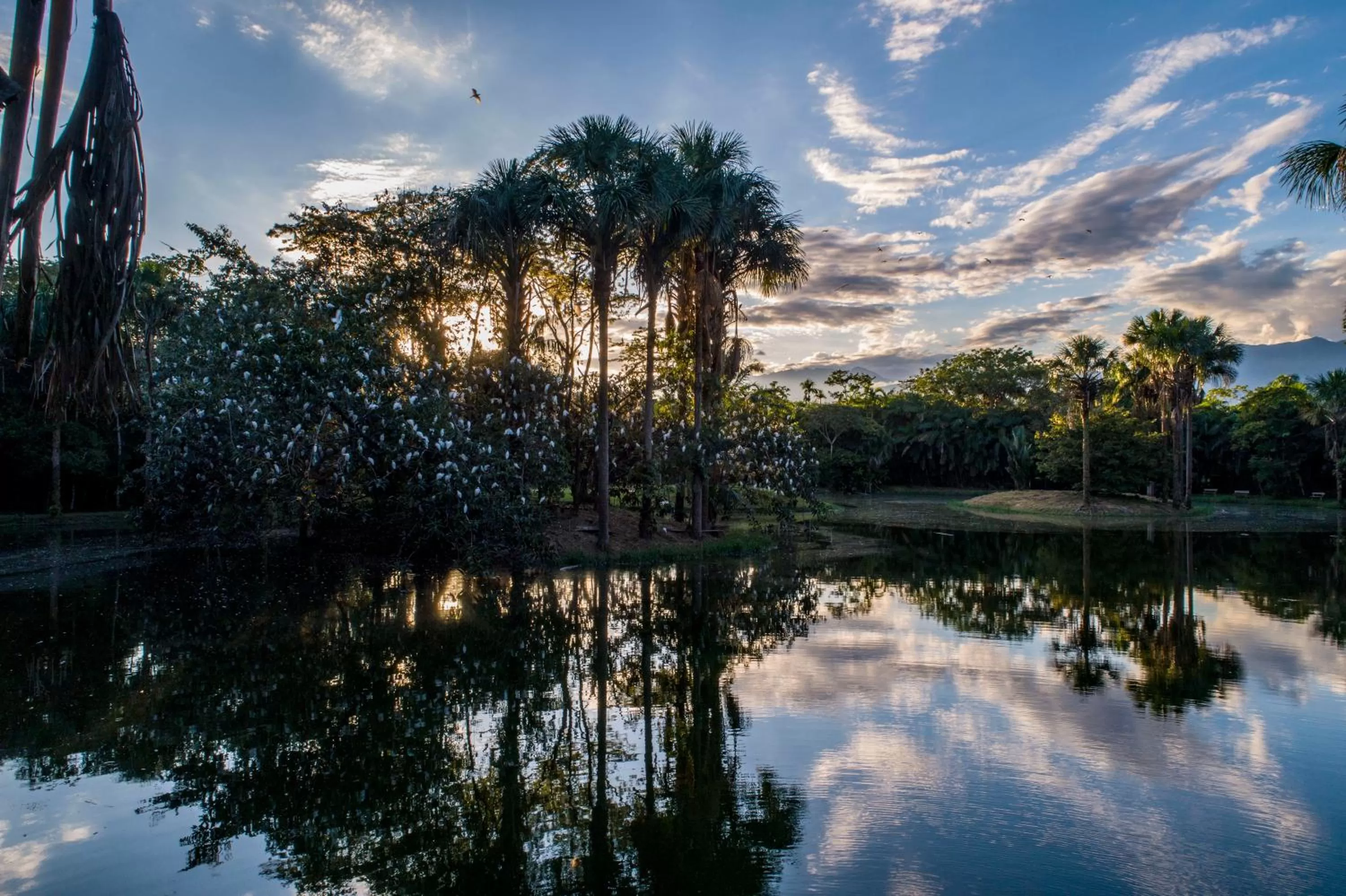 Lake view in Ecolodge Cosmogénesis