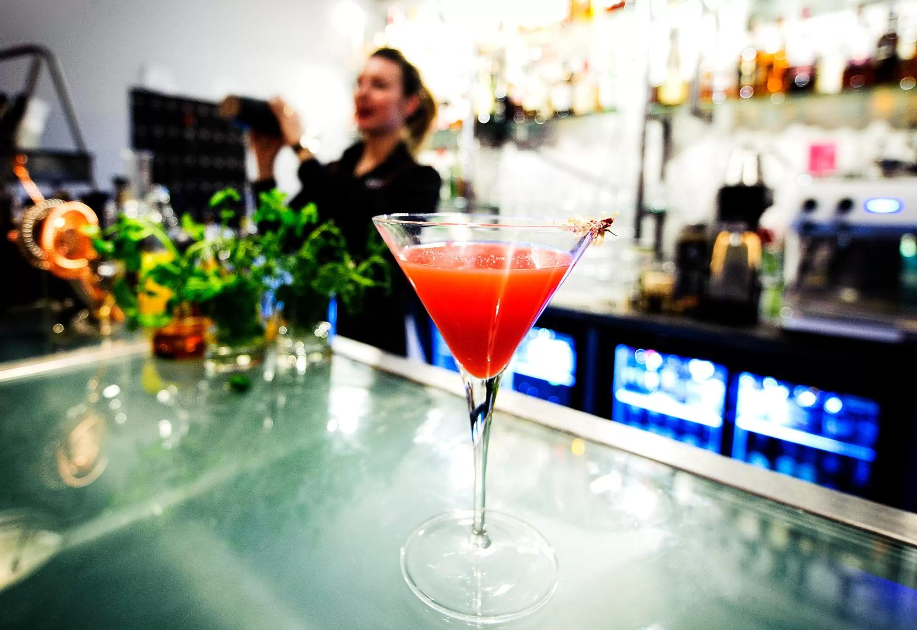 Restaurant/places to eat in SPiS Hotel & Hostel