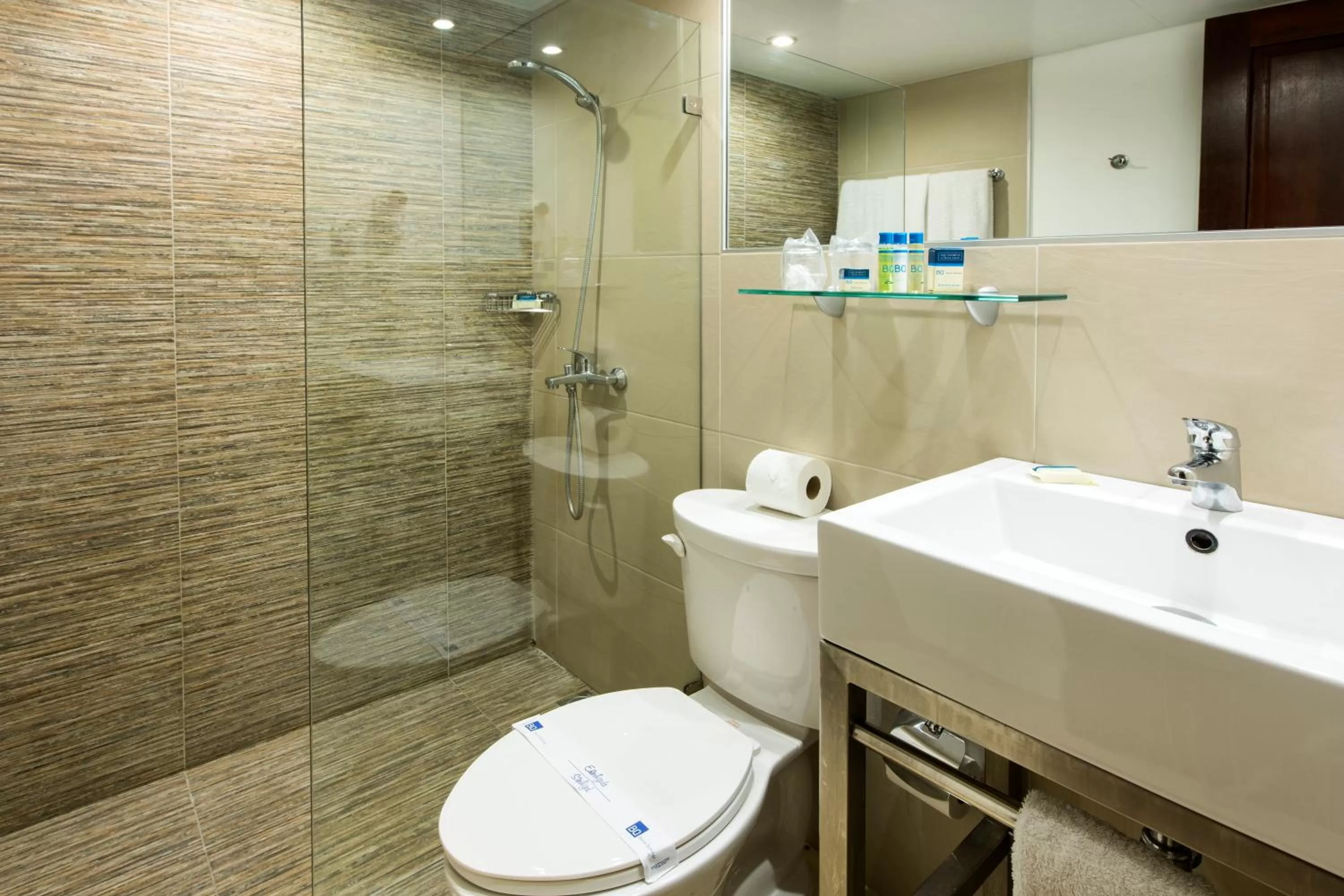 Shower in W&P Santo Domingo