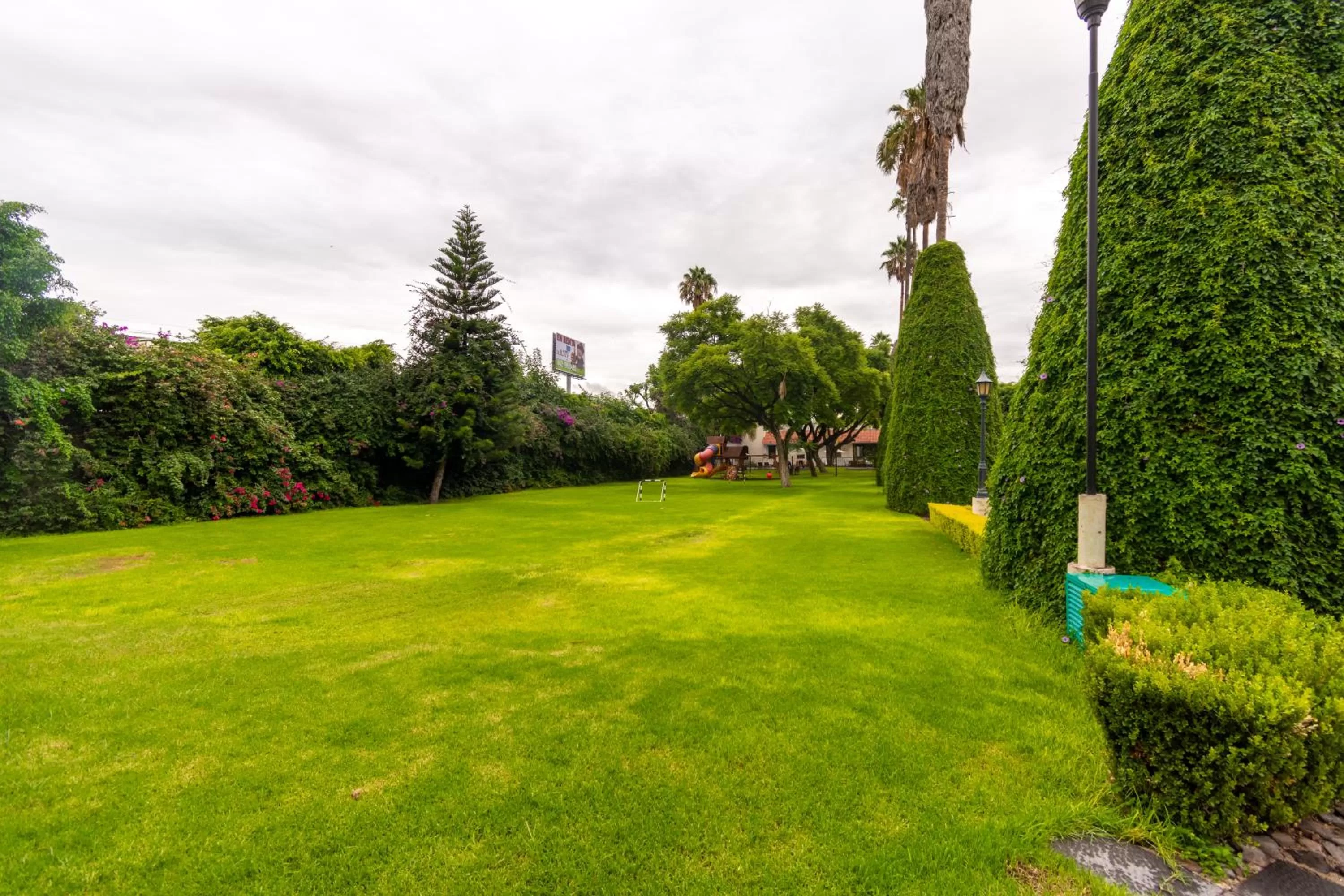 Garden in Hotel Flamingo Inn